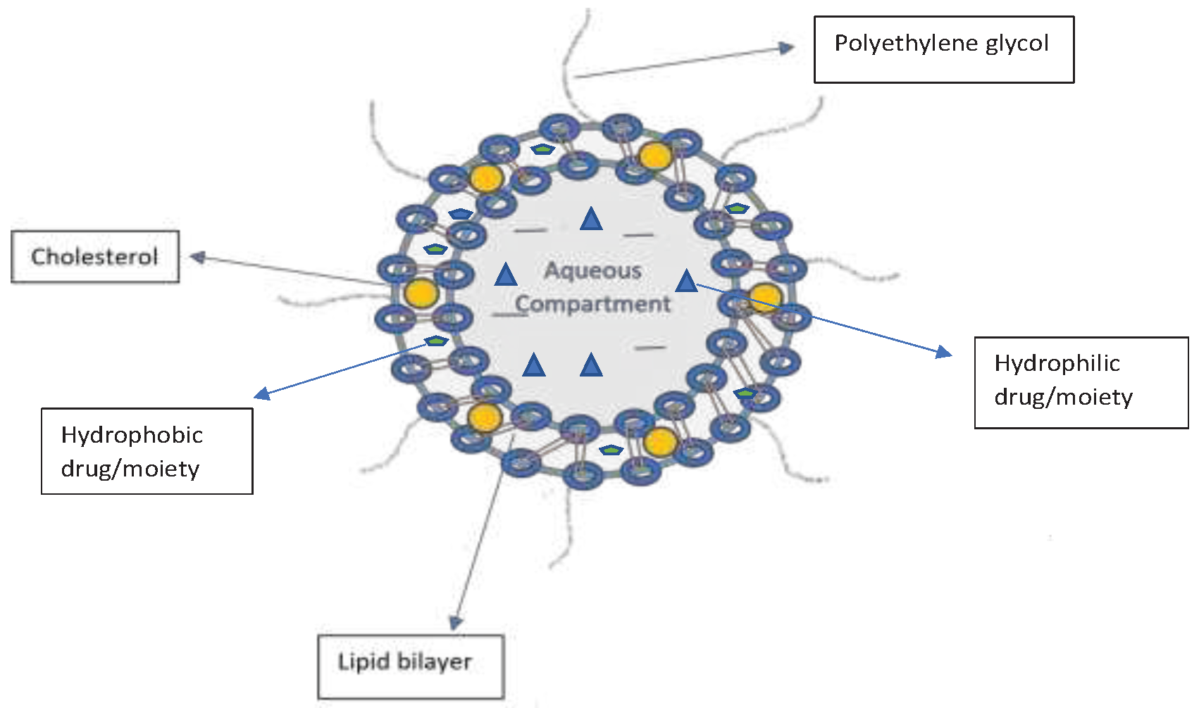 Preprints 88645 g001