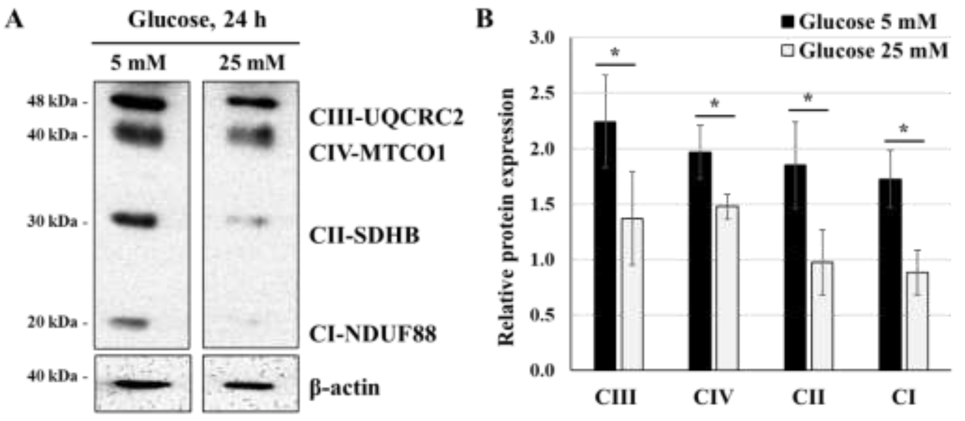 Preprints 139411 g002