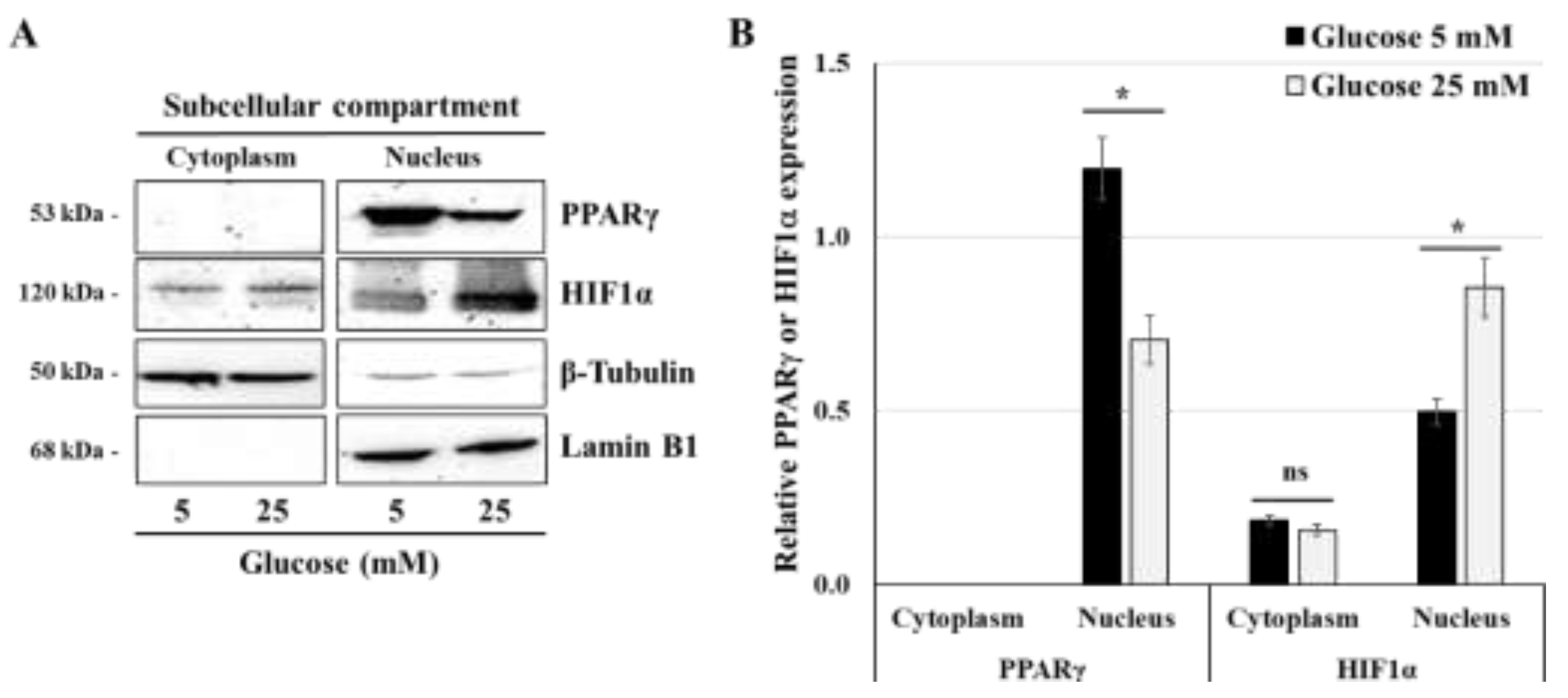 Preprints 139411 g003