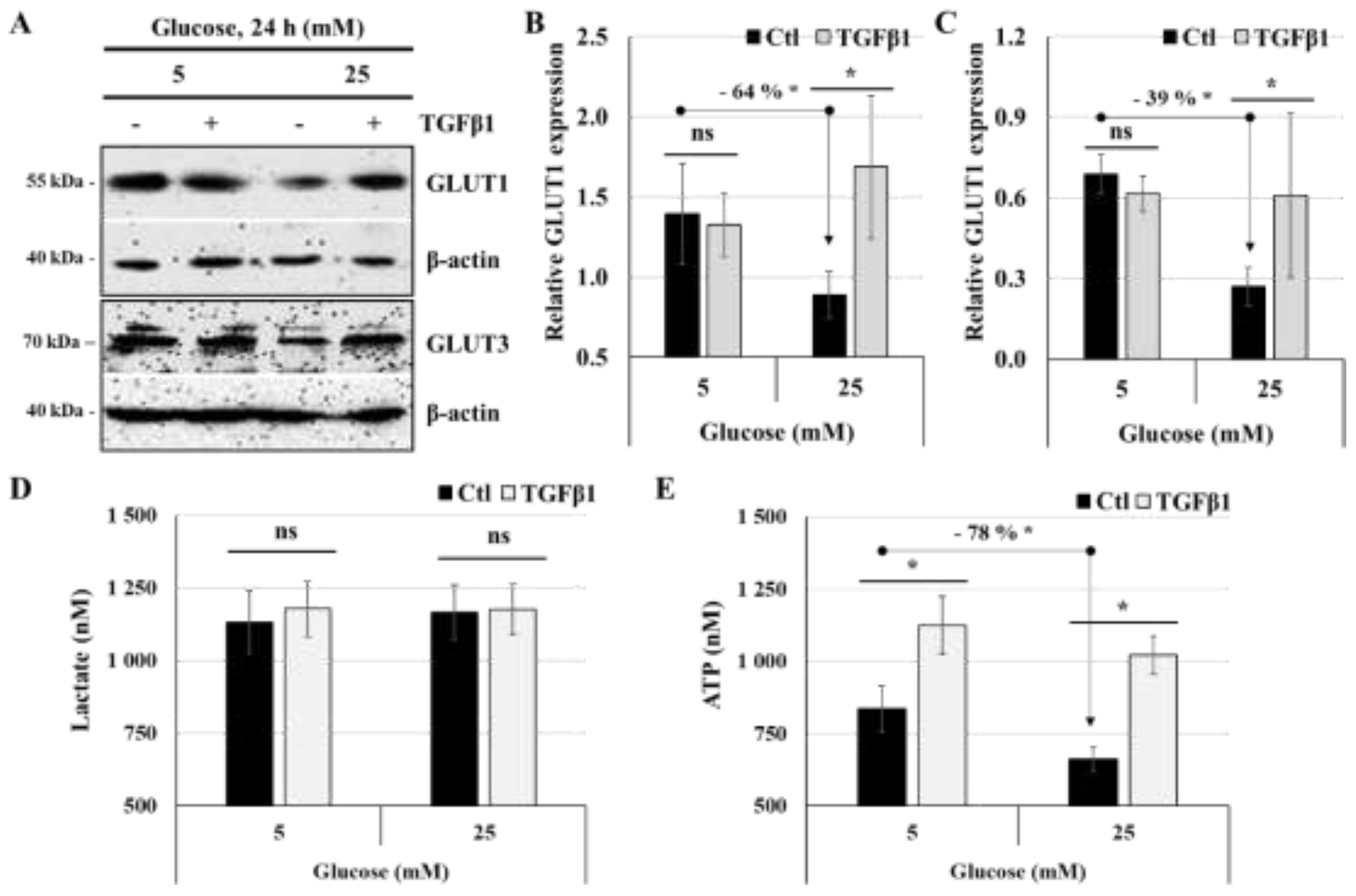 Preprints 139411 g005