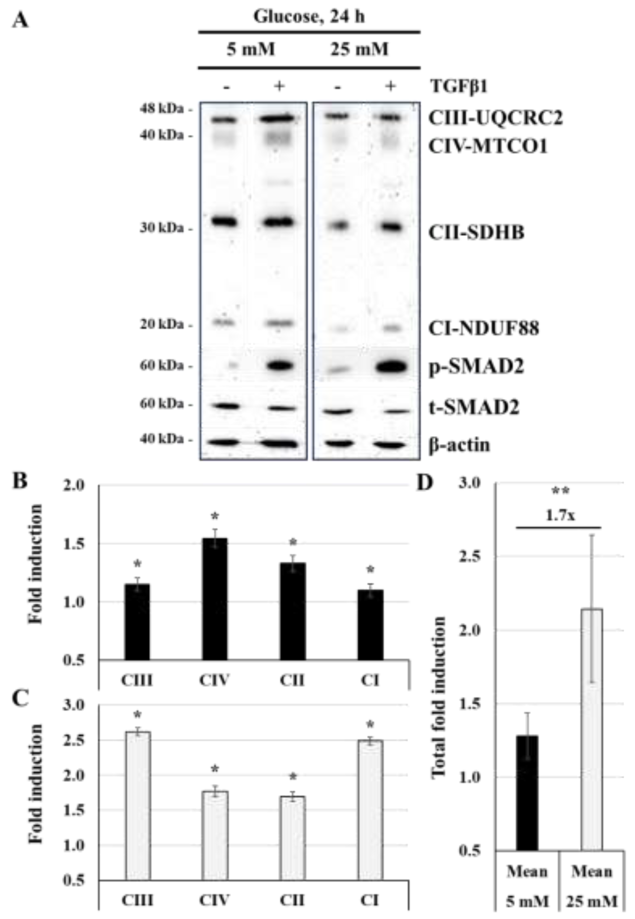 Preprints 139411 g006