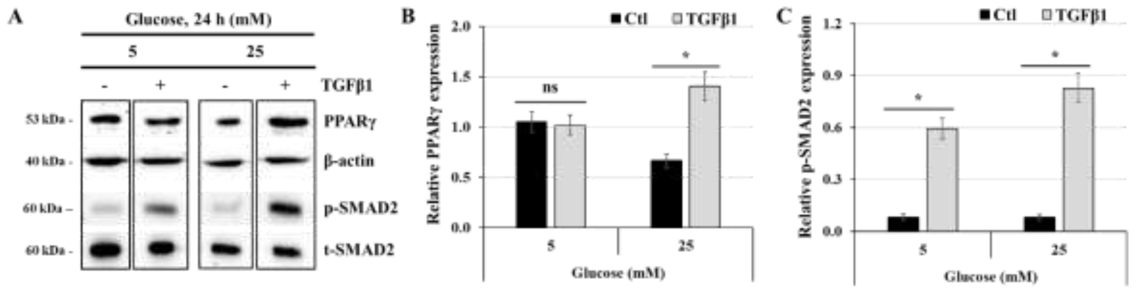 Preprints 139411 g007