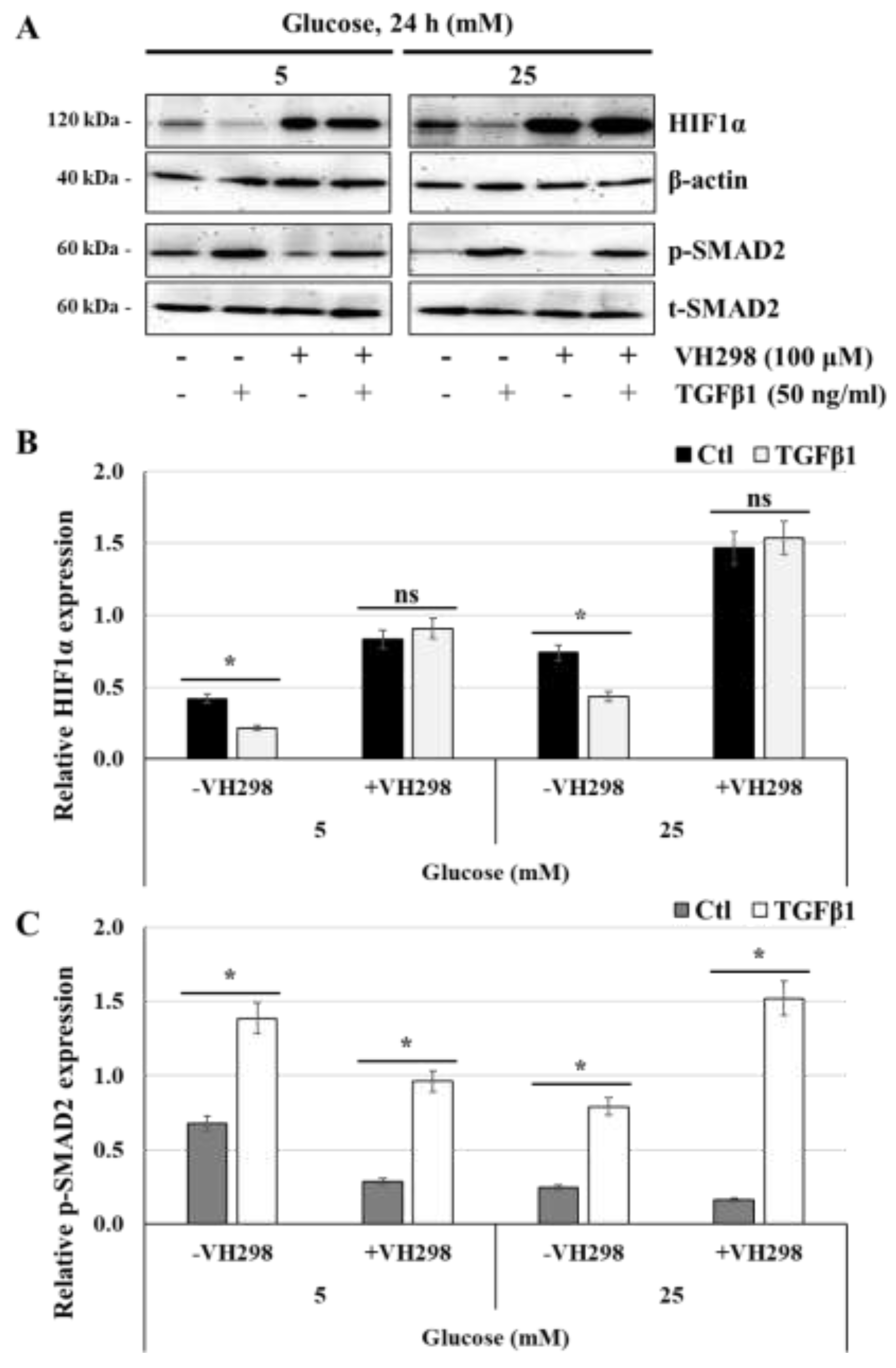 Preprints 139411 g009