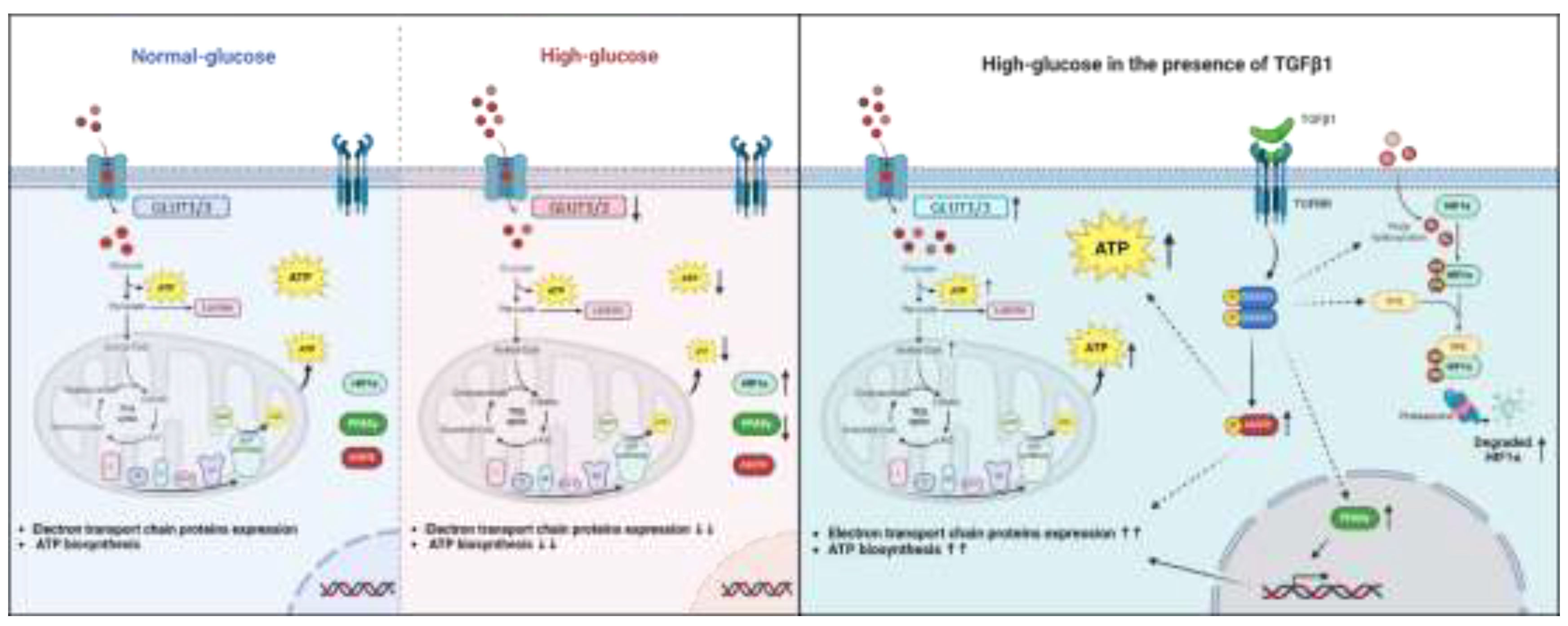 Preprints 139411 g010