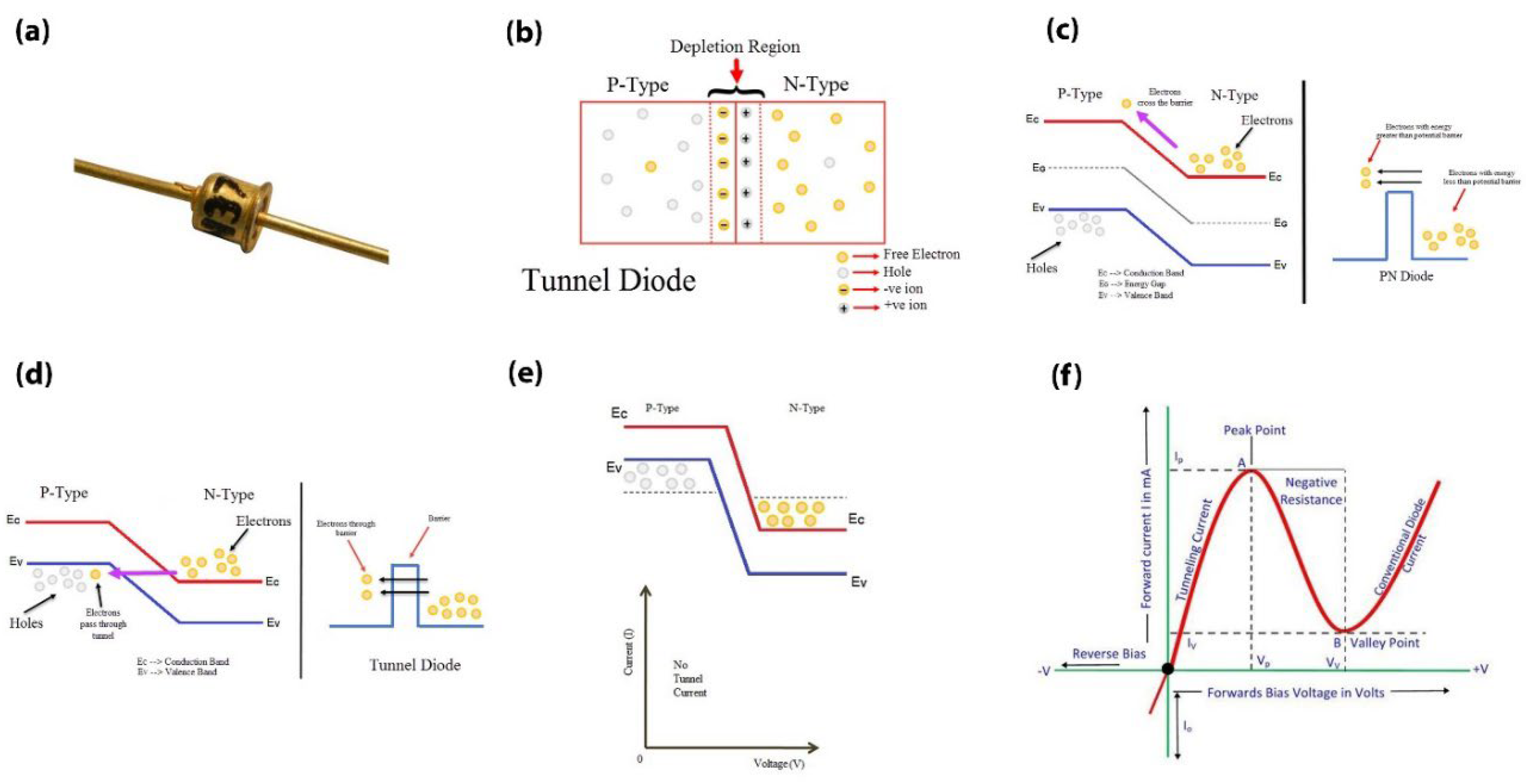Preprints 140634 g002