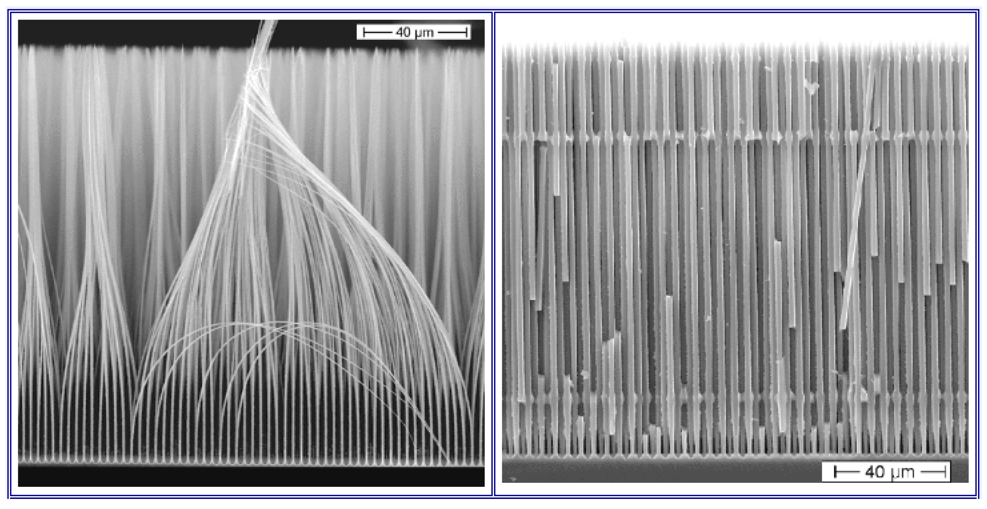 Preprints 140634 g007
