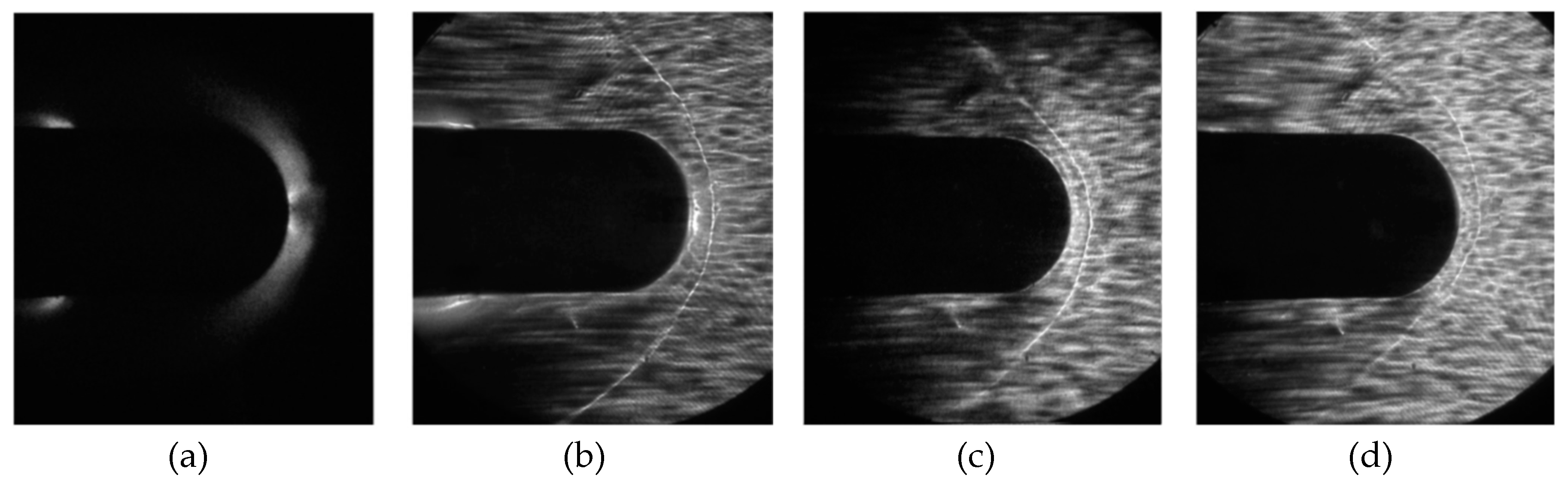Preprints 86529 g029