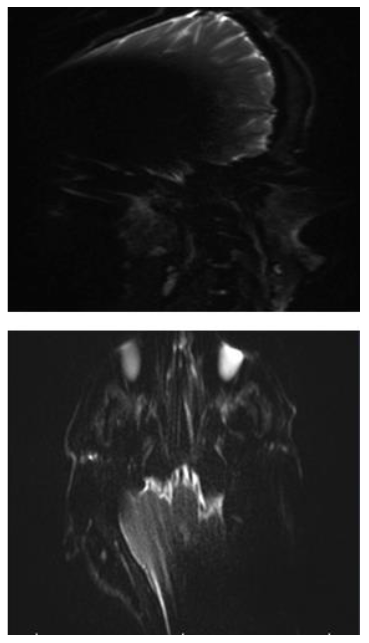 Preprints 164593 g002