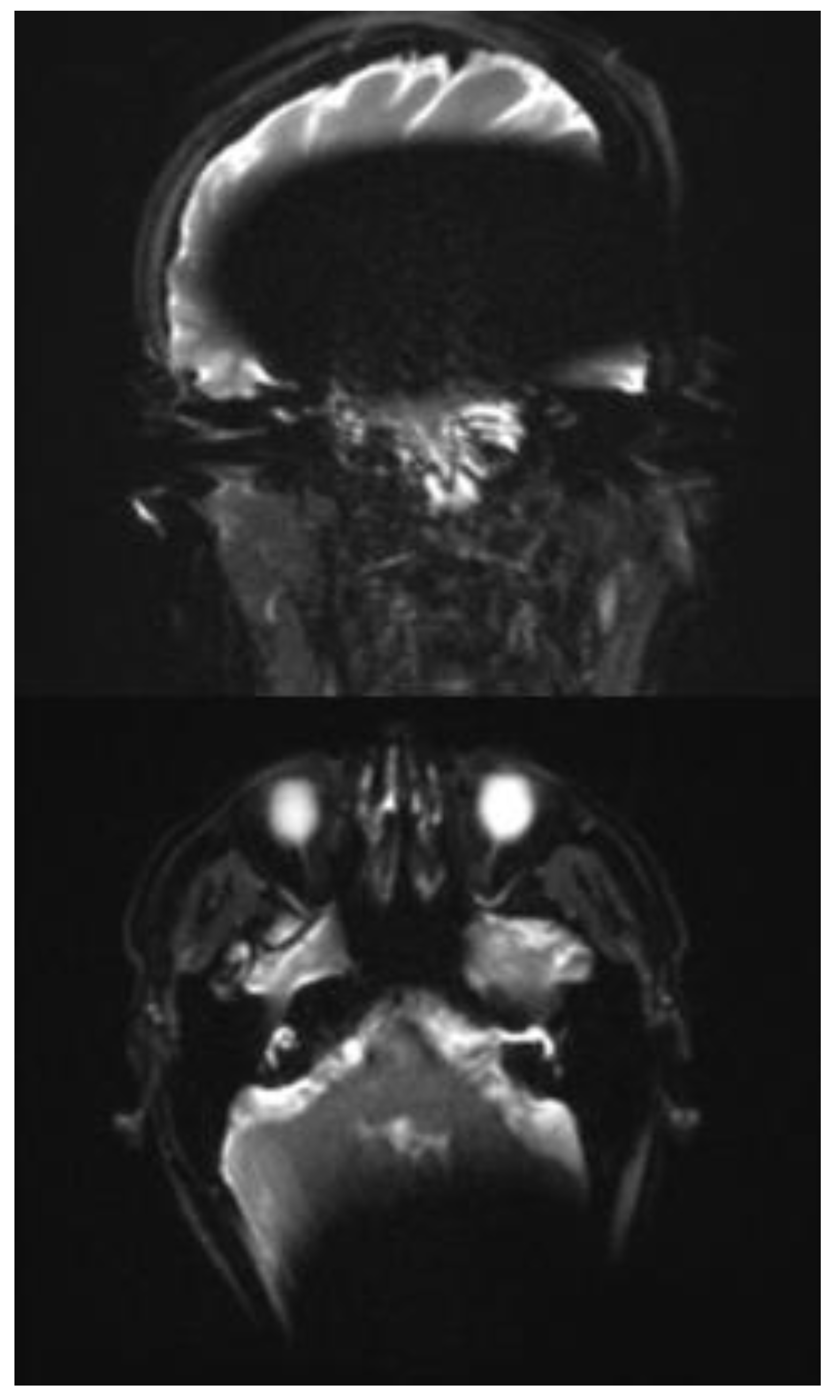 Preprints 164593 g003