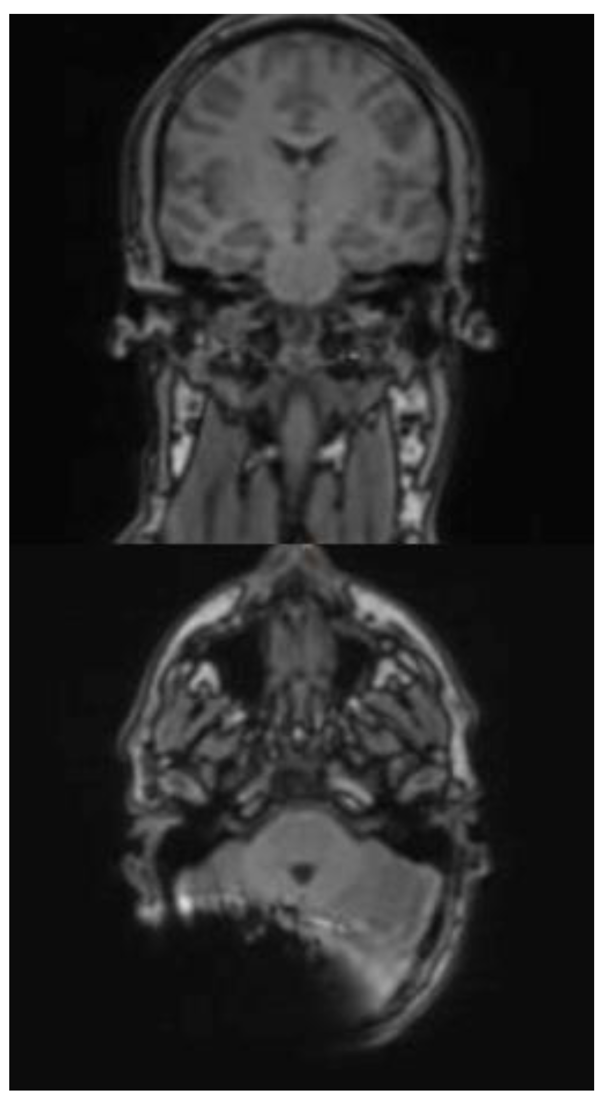 Preprints 164593 g004
