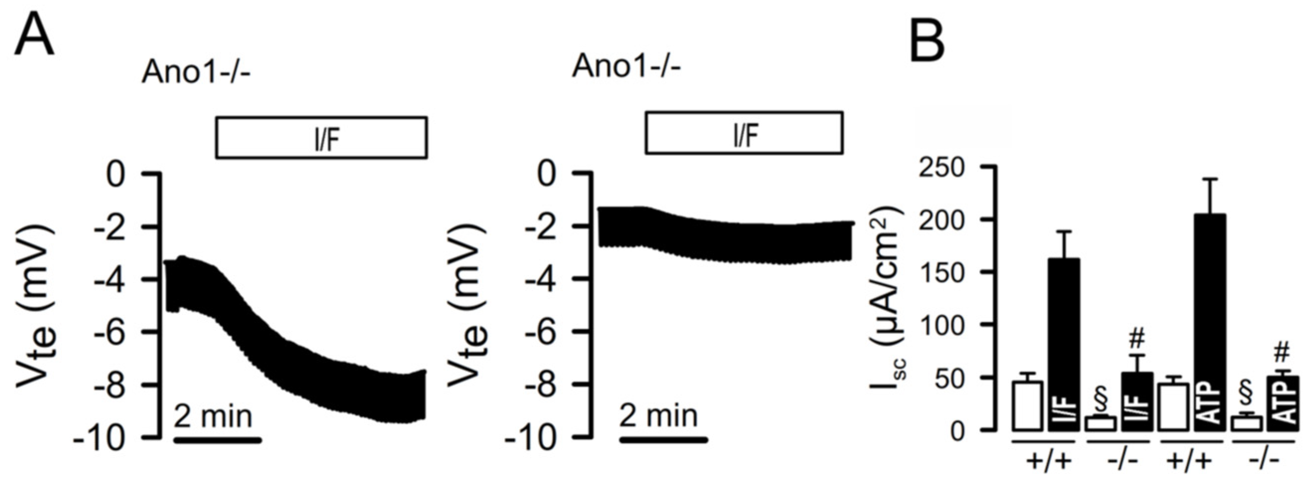 Preprints 78097 g001