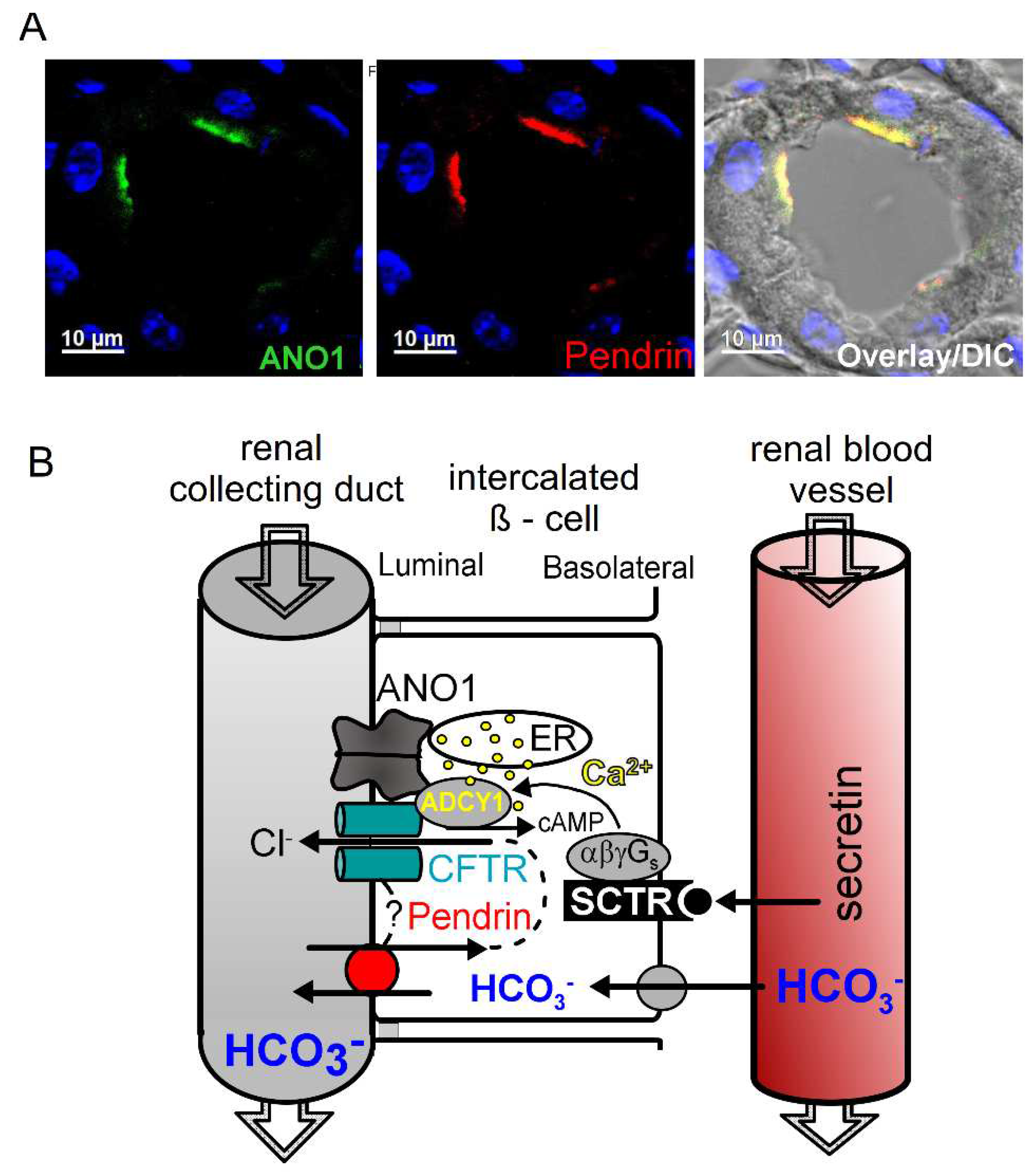 Preprints 78097 g003