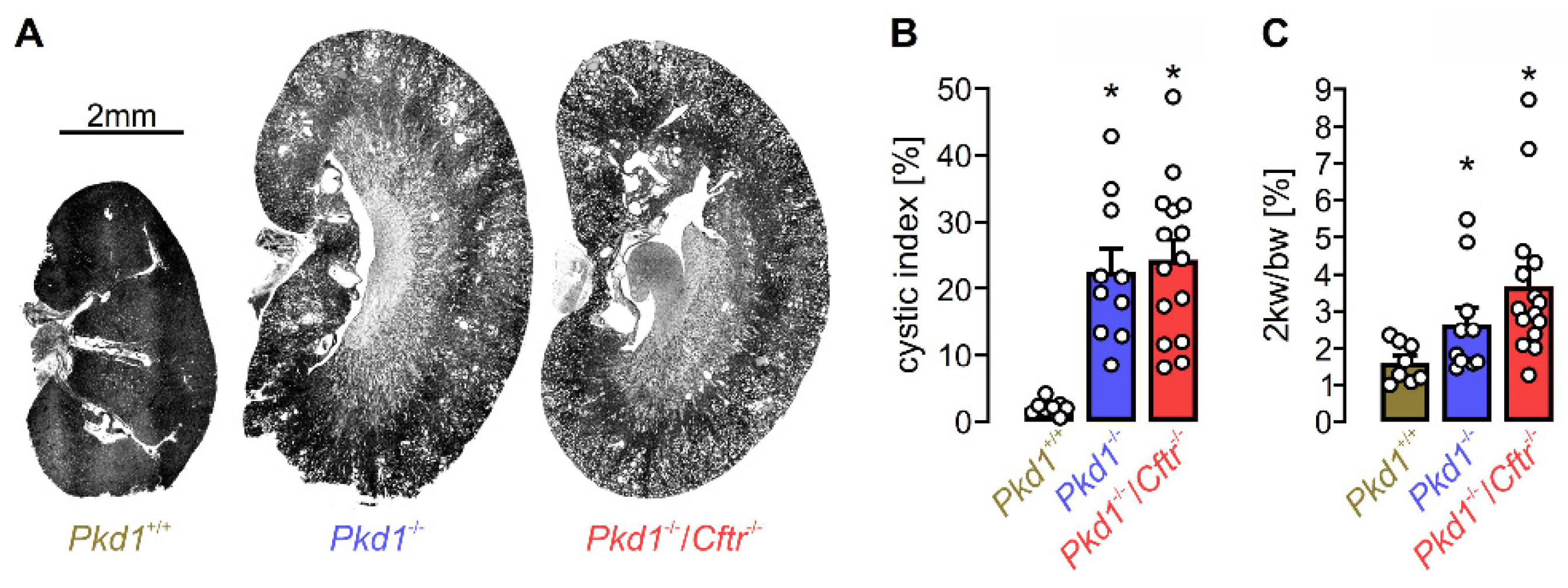 Preprints 78097 g004