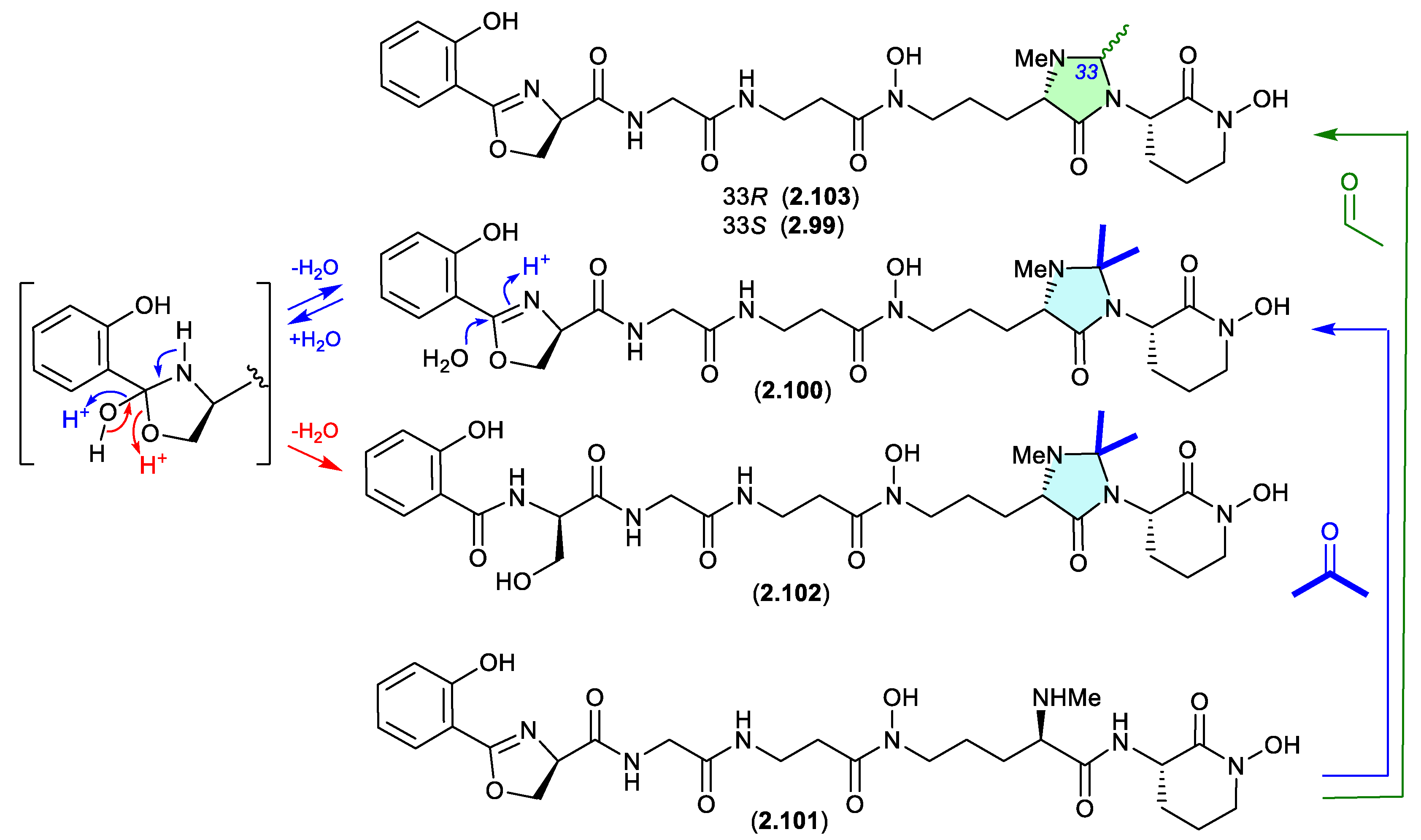 Preprints 187211 g025