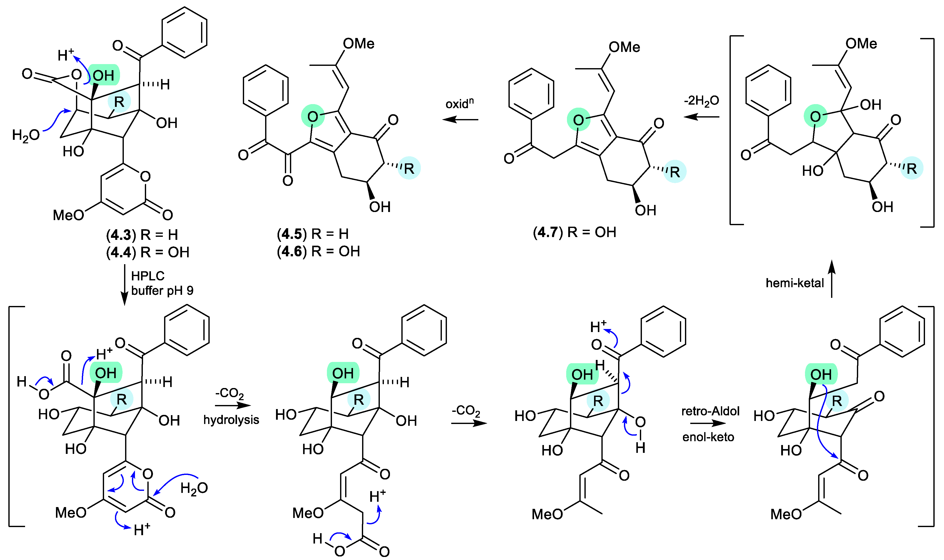 Preprints 187211 g049
