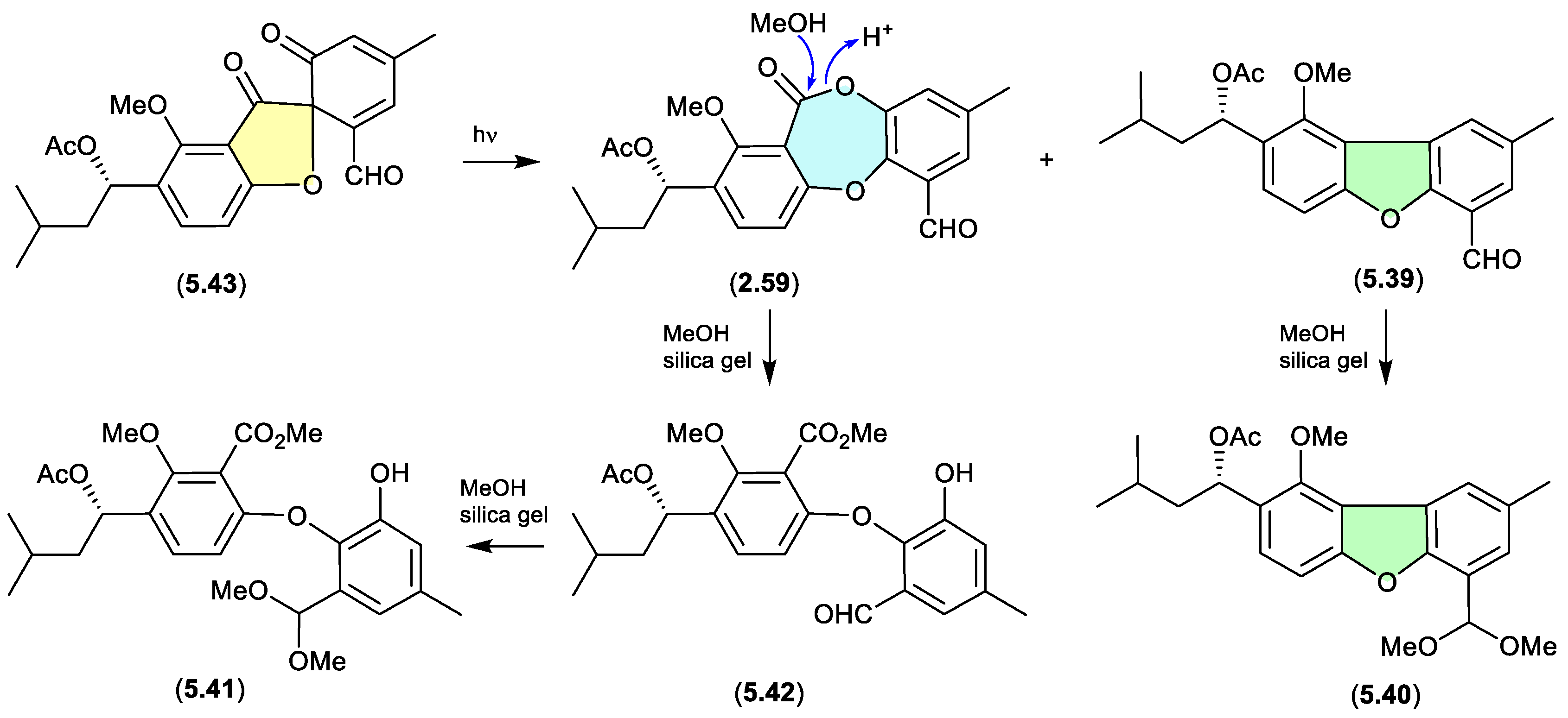 Preprints 187211 g069