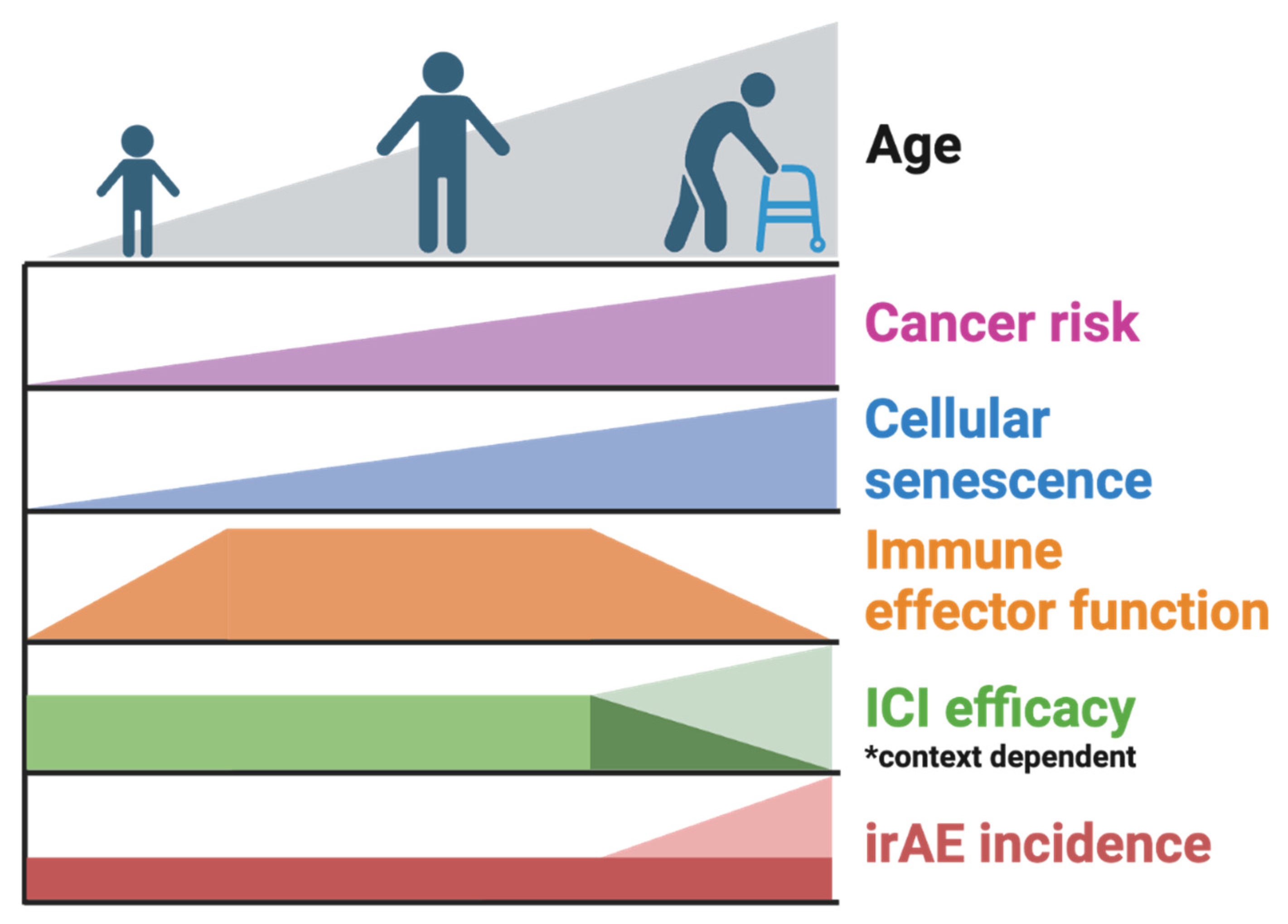 Preprints 107849 g002