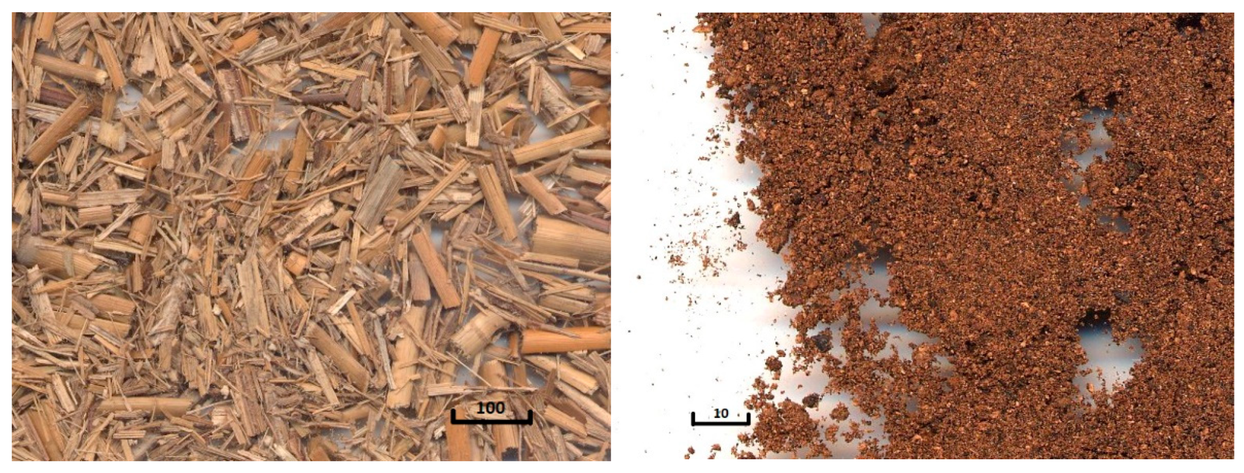 Preprints 166593 g001