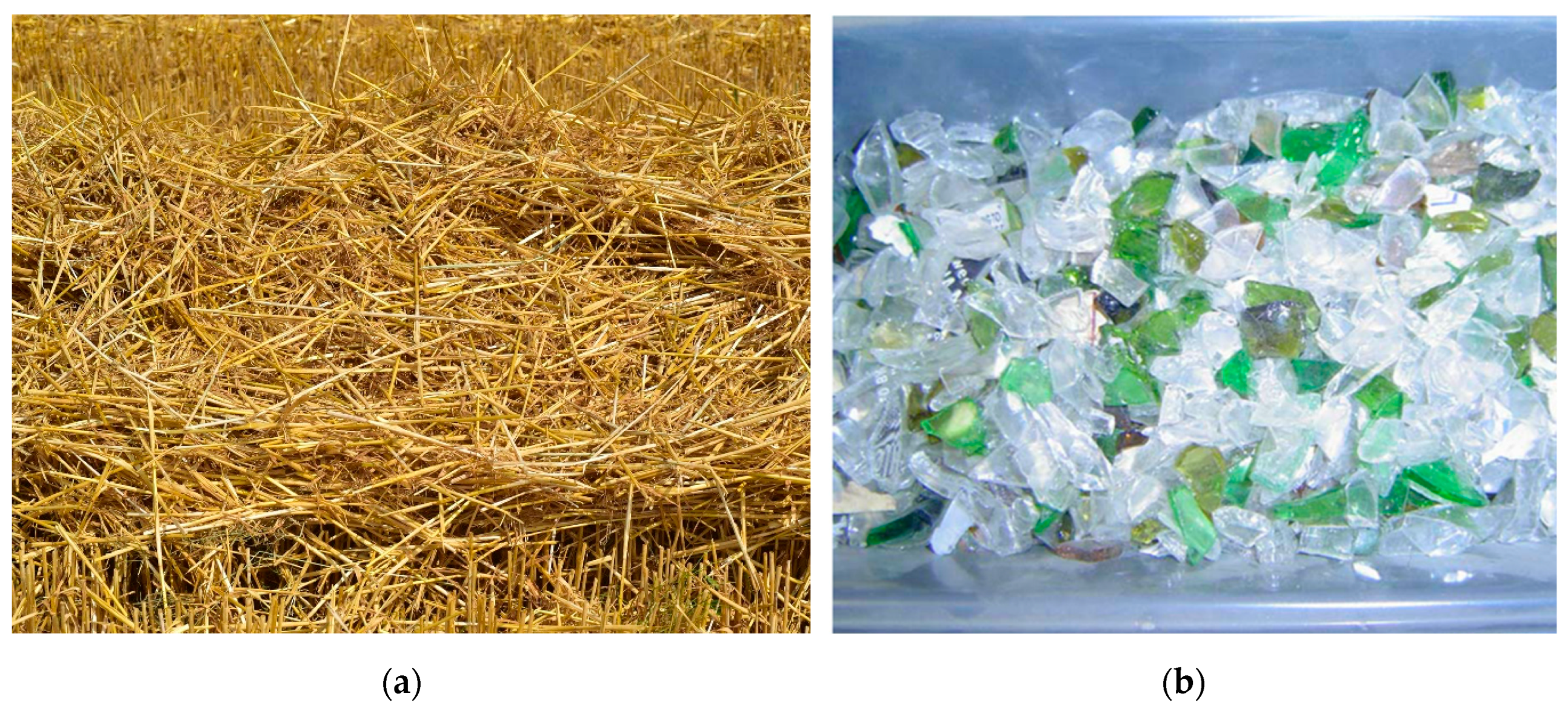 Preprints 166593 g003