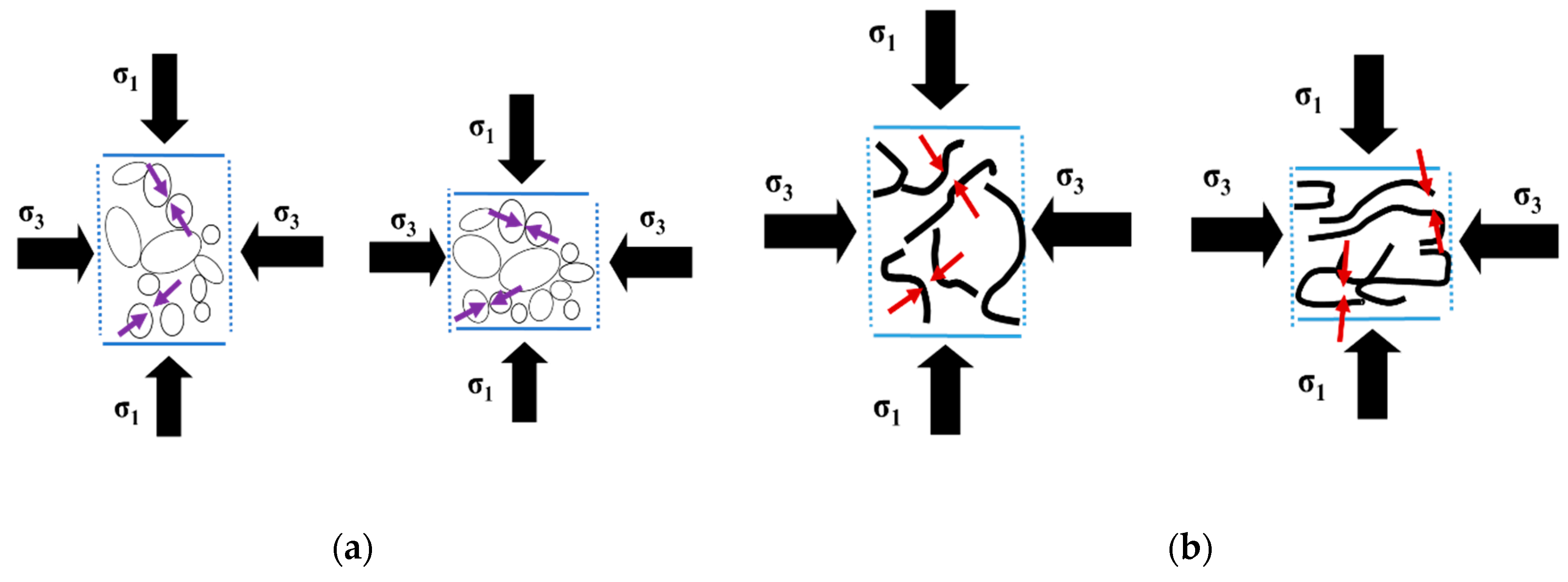 Preprints 166593 g007