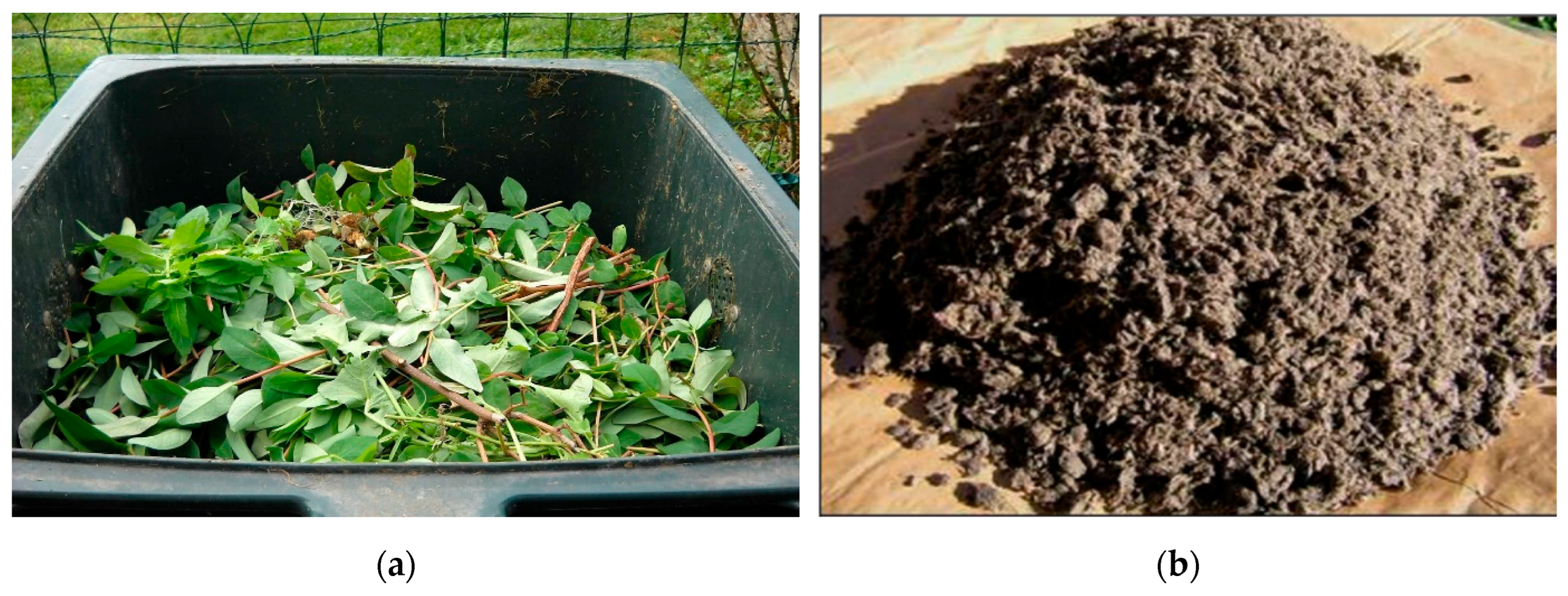 Preprints 166593 g009