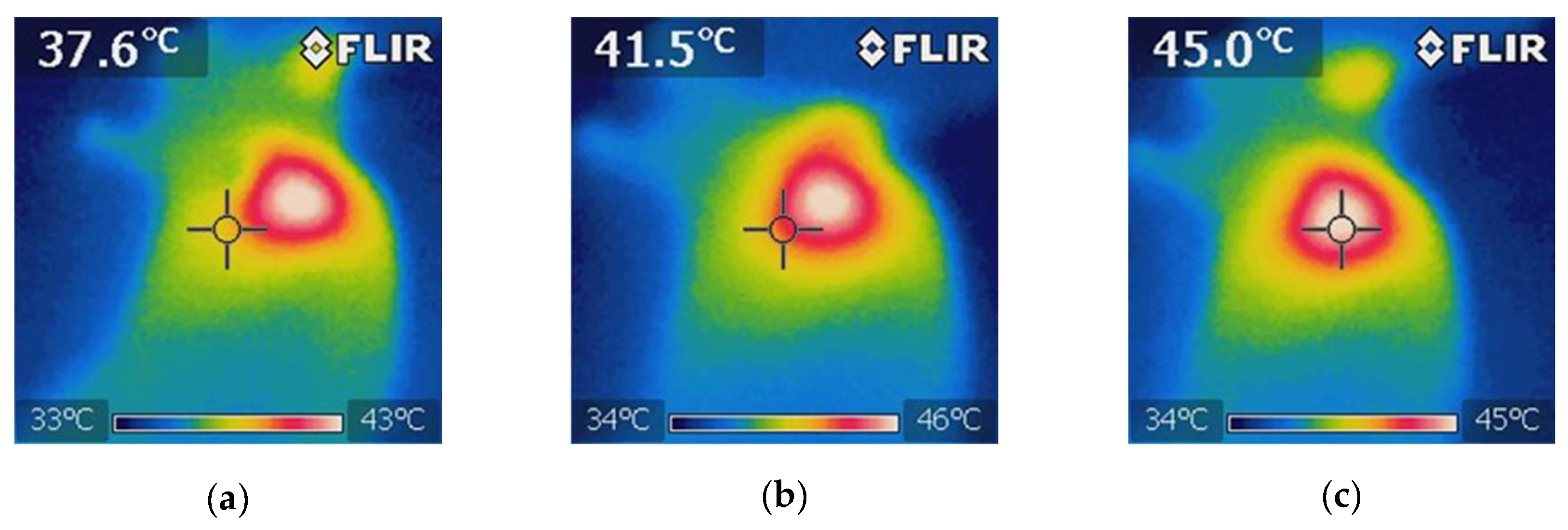 Preprints 165608 g011