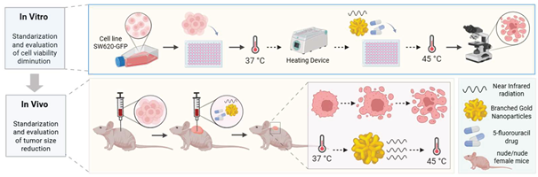 Preprints 165608 i001