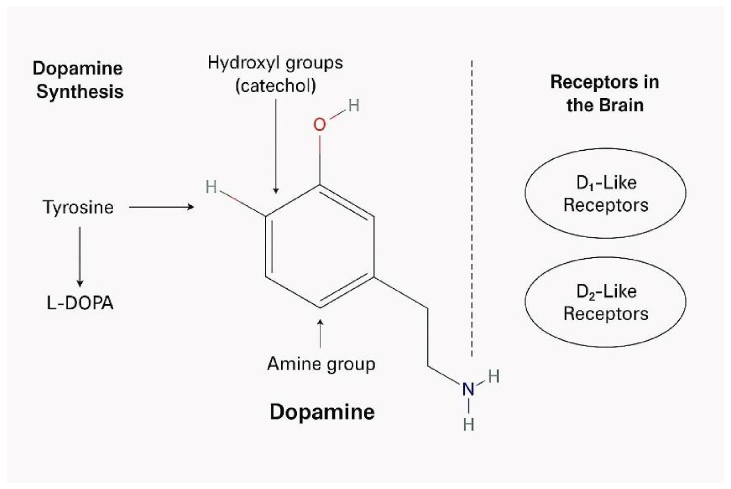 Preprints 168671 g001