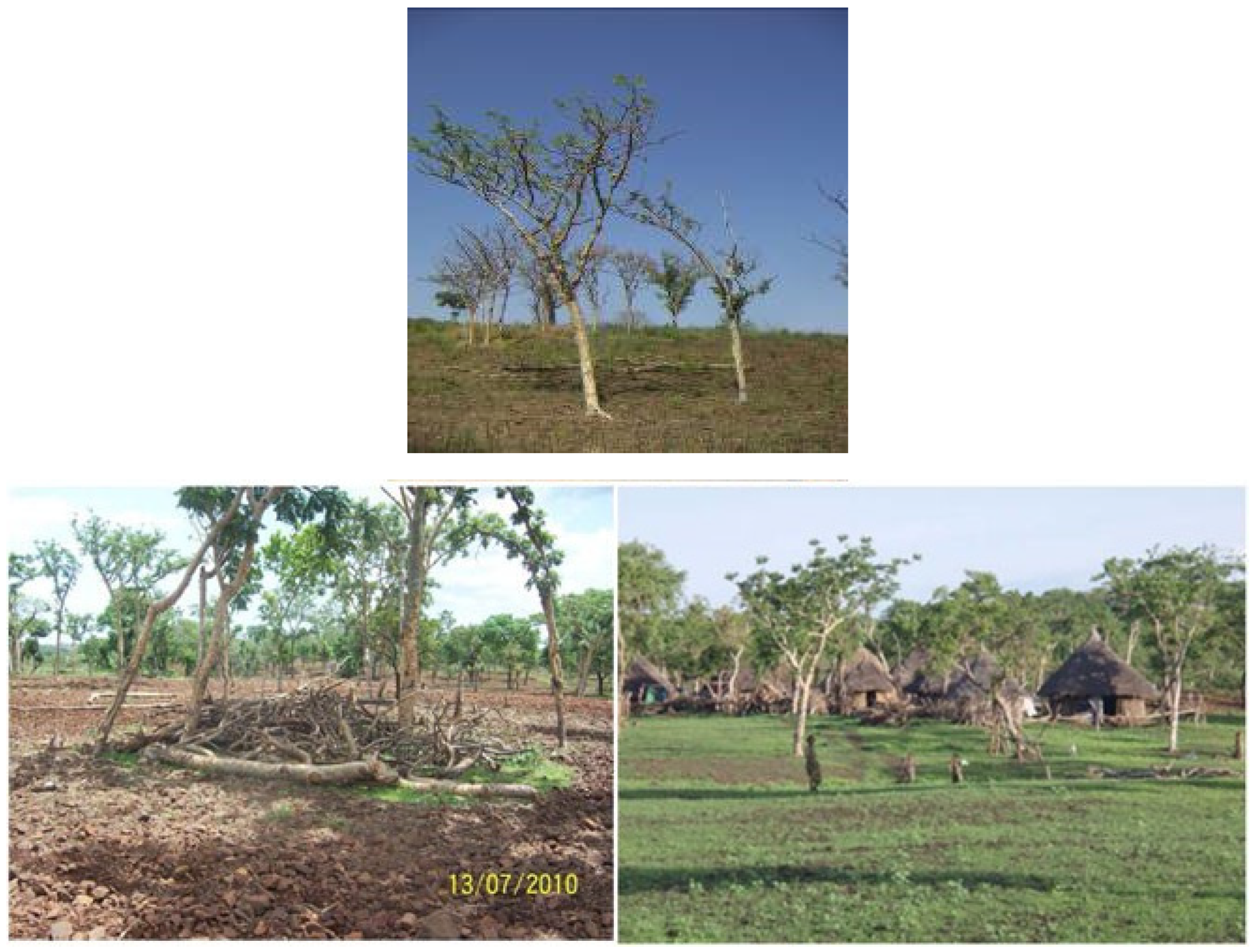 Preprints 95386 g003