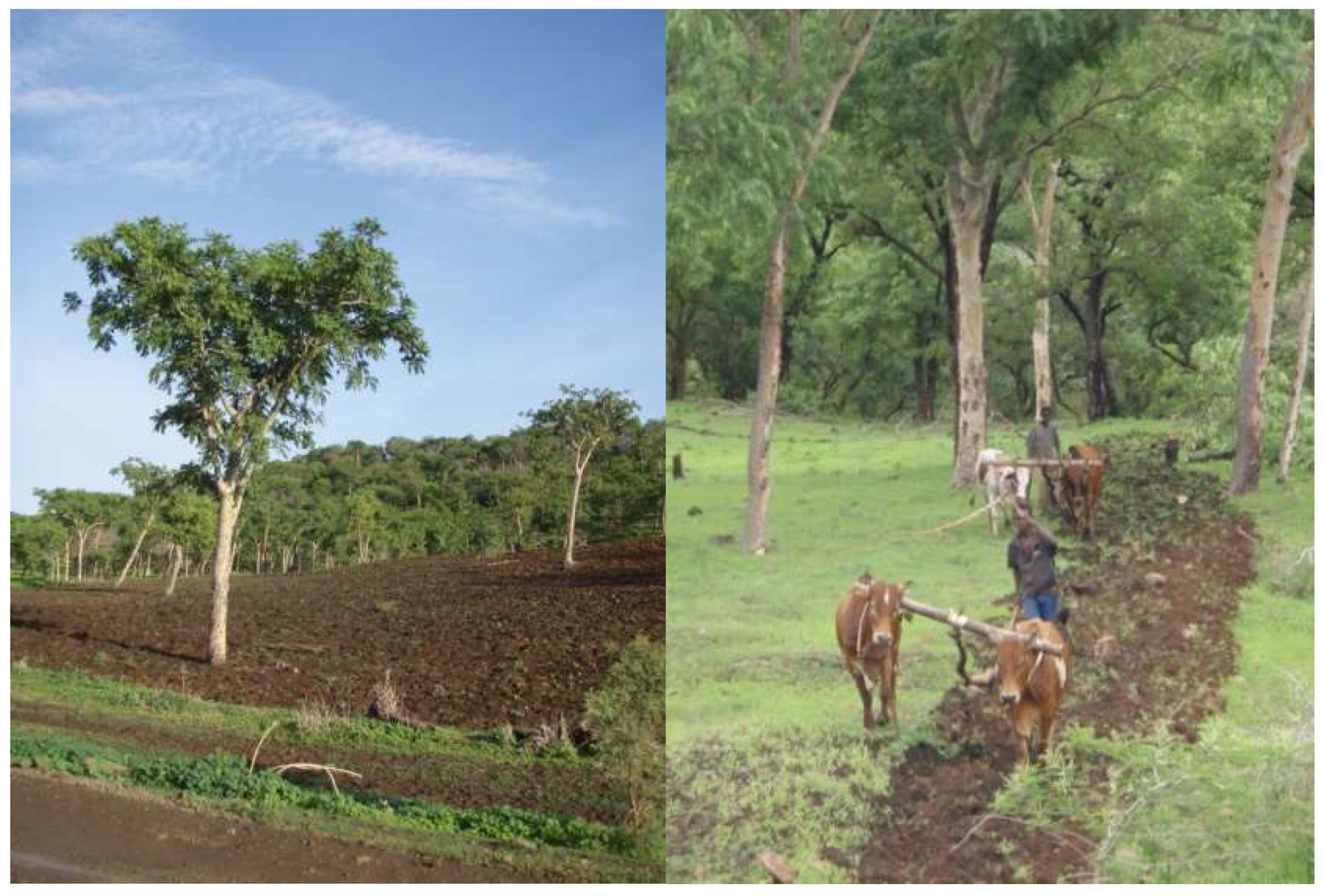 Preprints 95386 g005