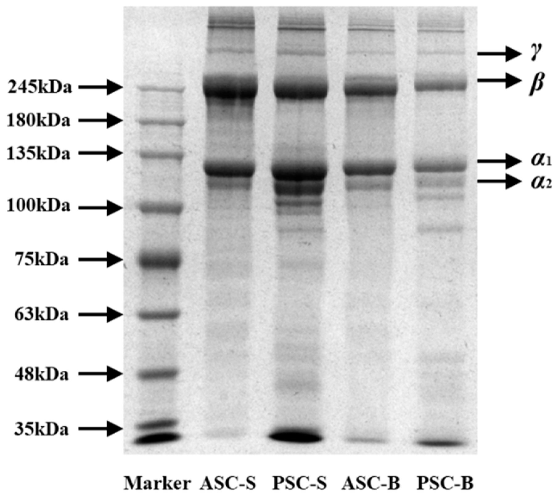 Preprints 145408 g001