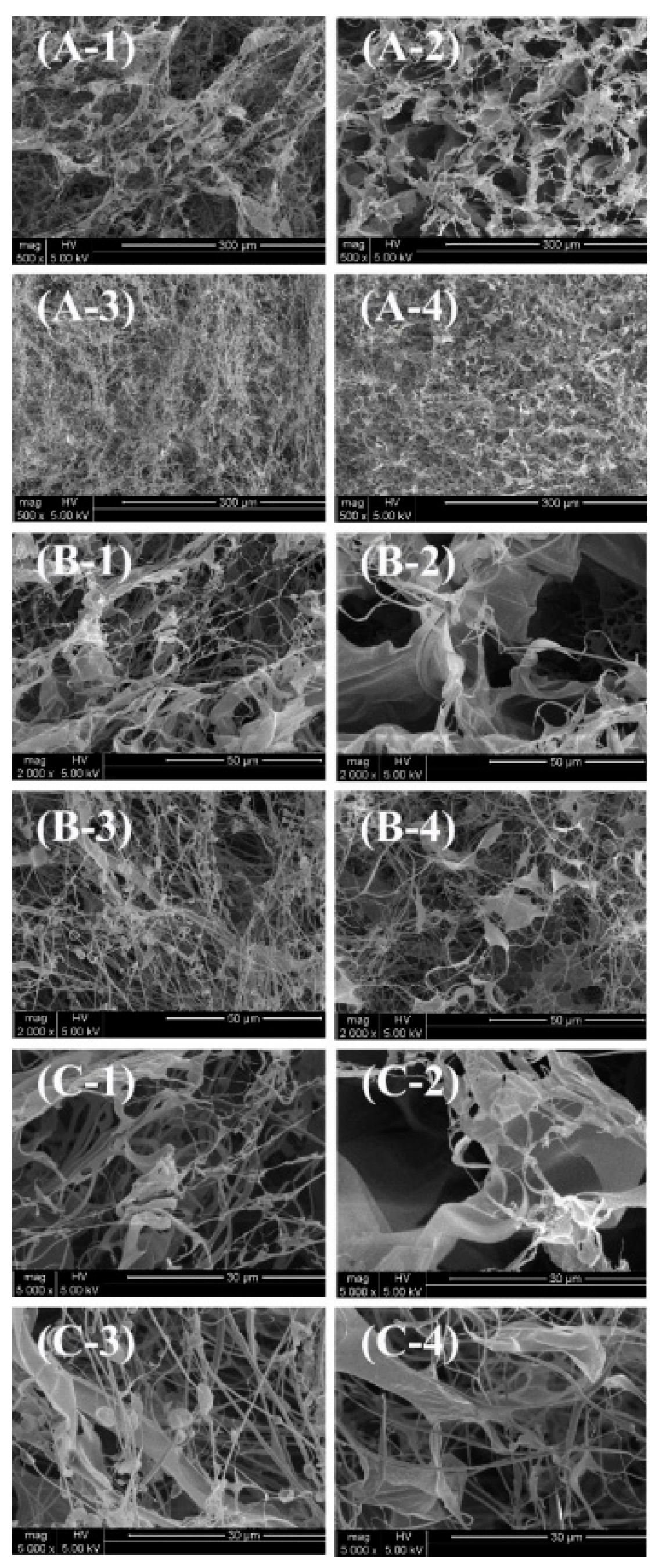 Preprints 145408 g003