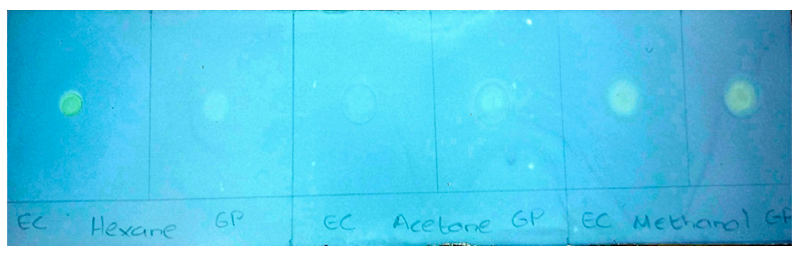 Preprints 165137 g001