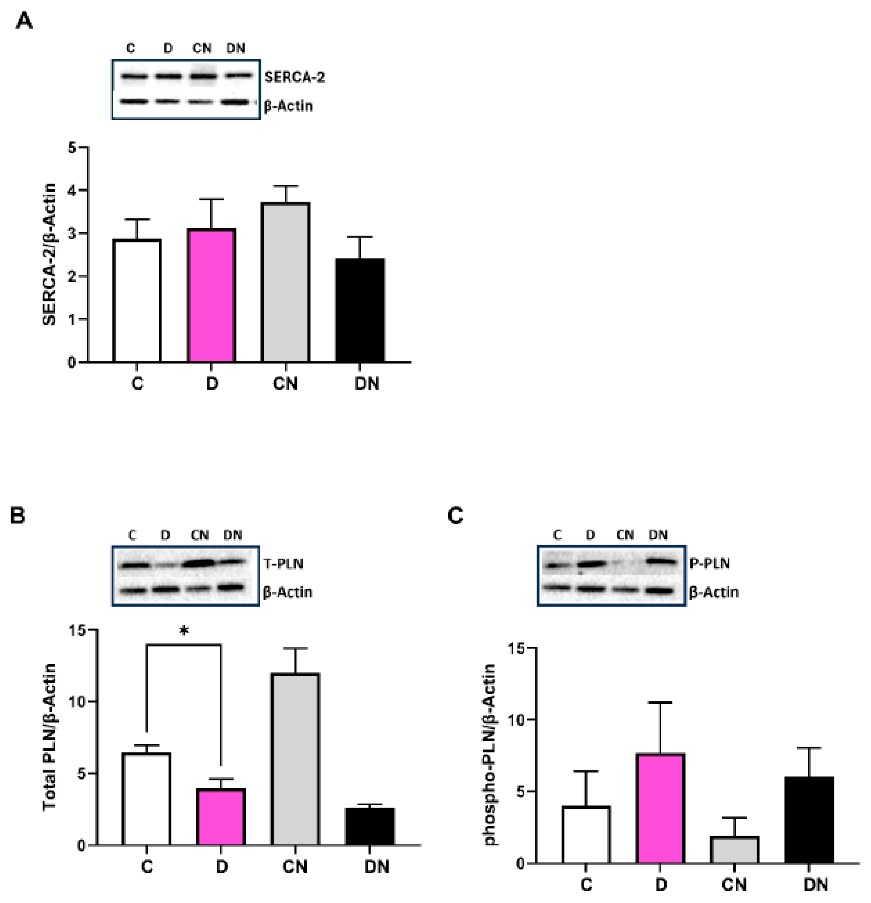 Preprints 180766 g005