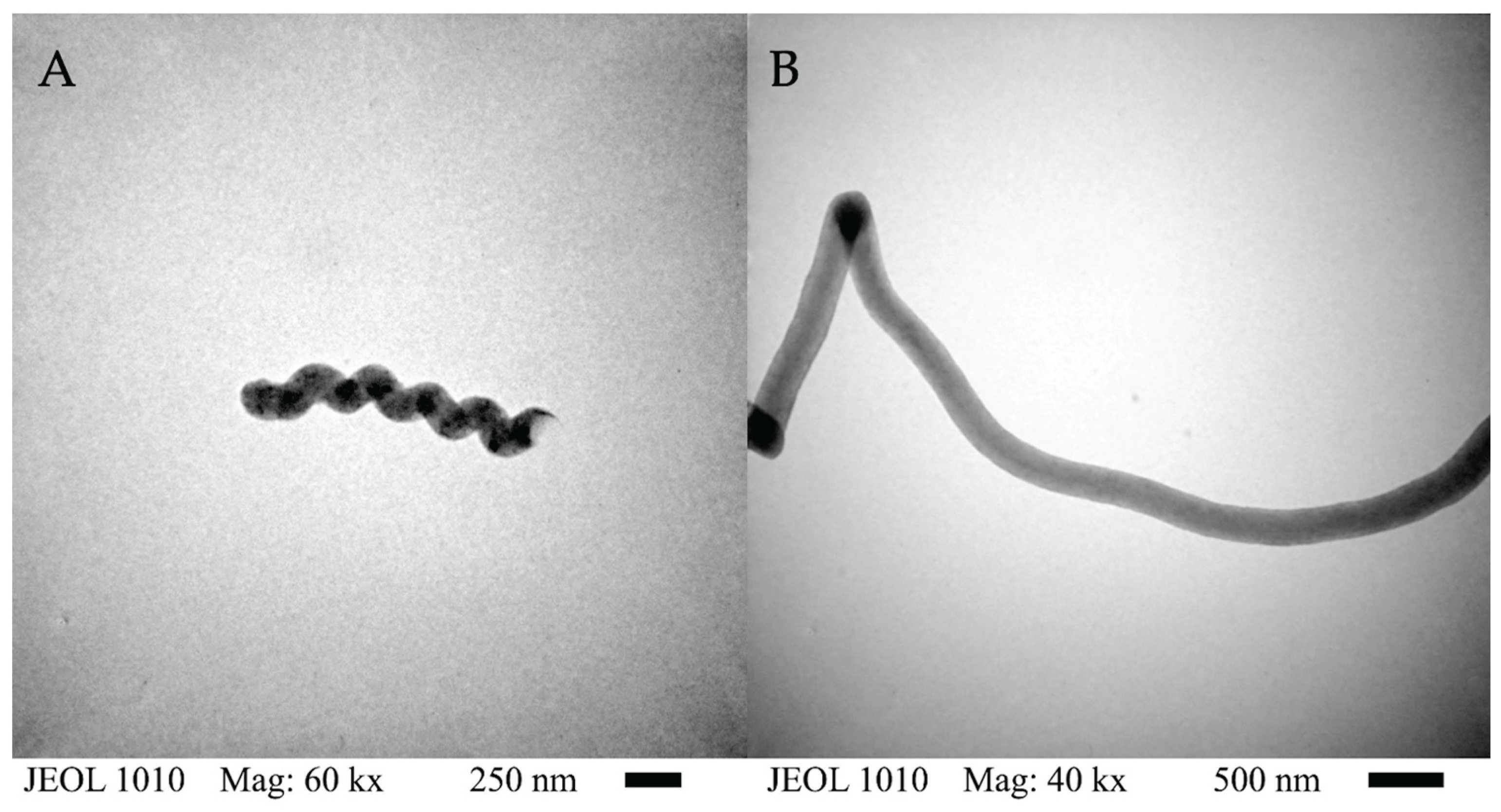 Preprints 174850 g001