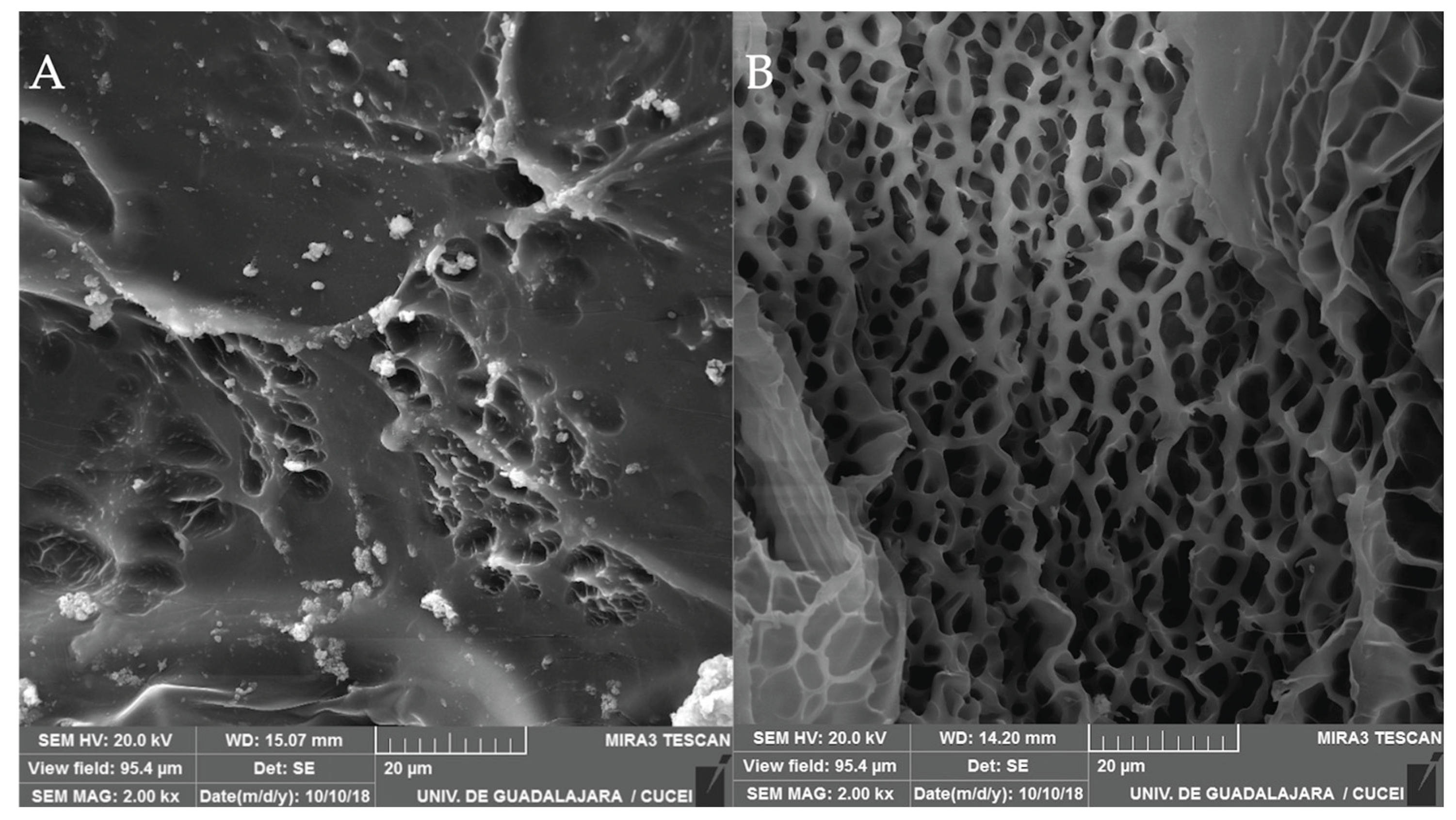Preprints 174850 g009