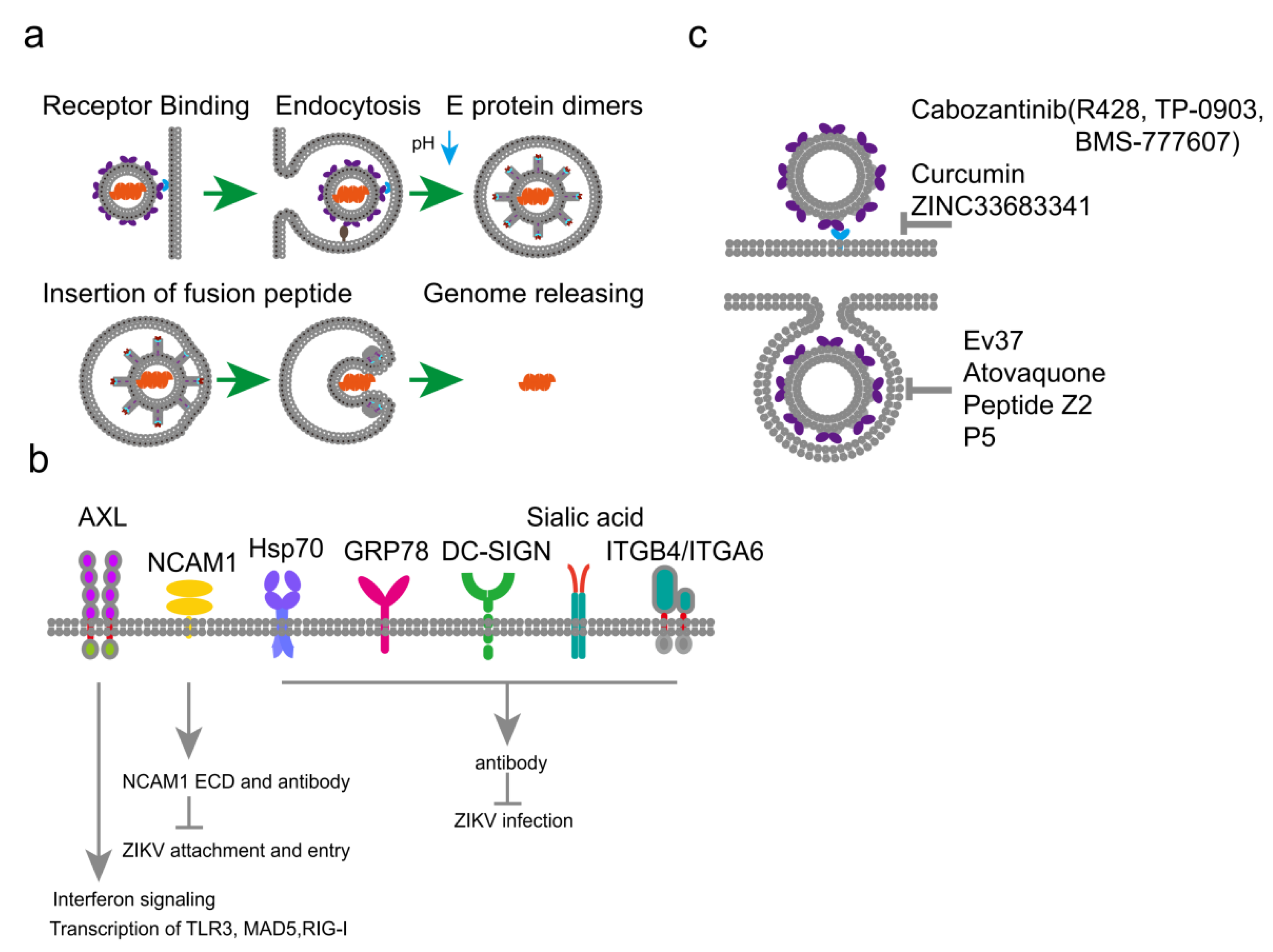 Preprints 214472 g002