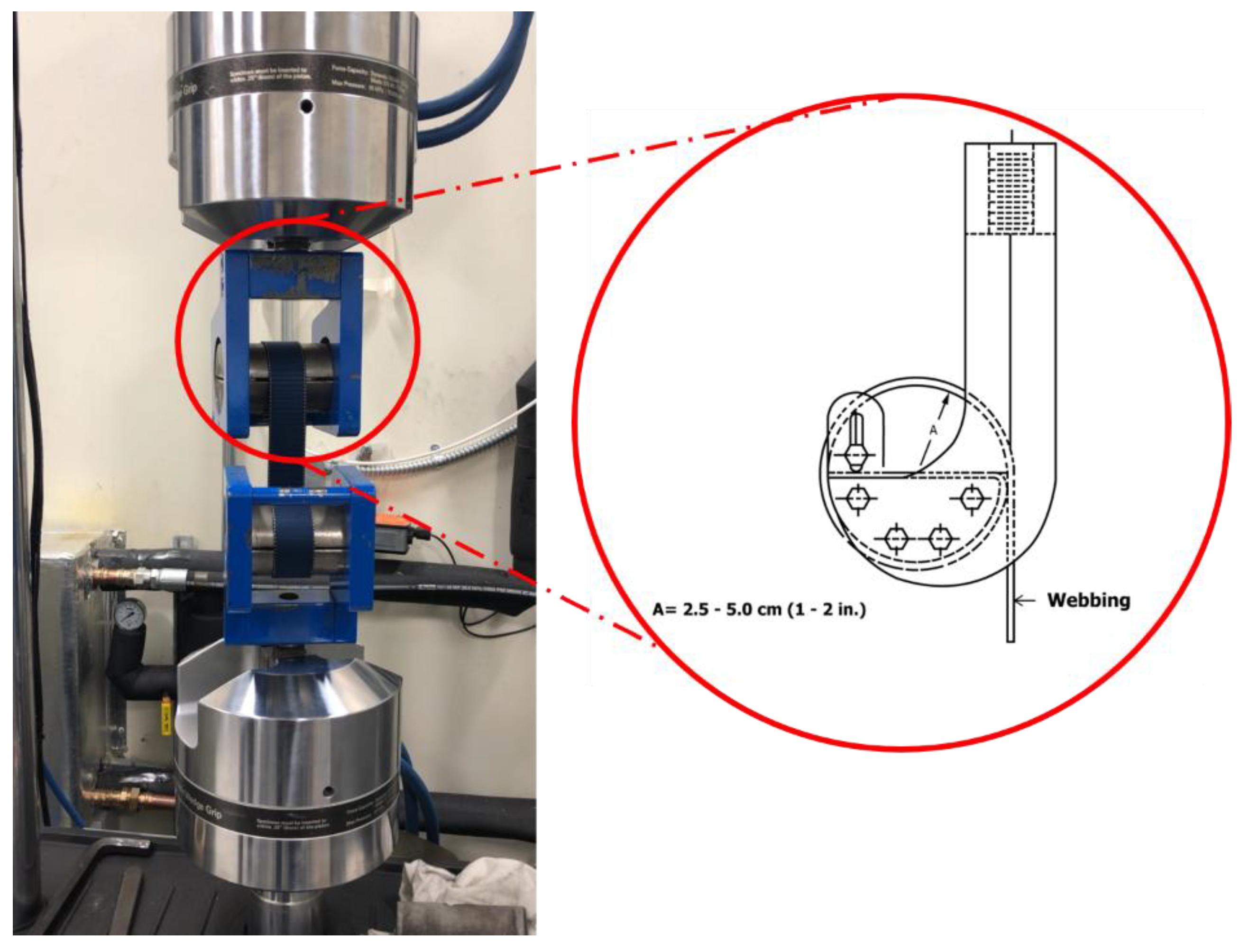 Preprints 176050 g002