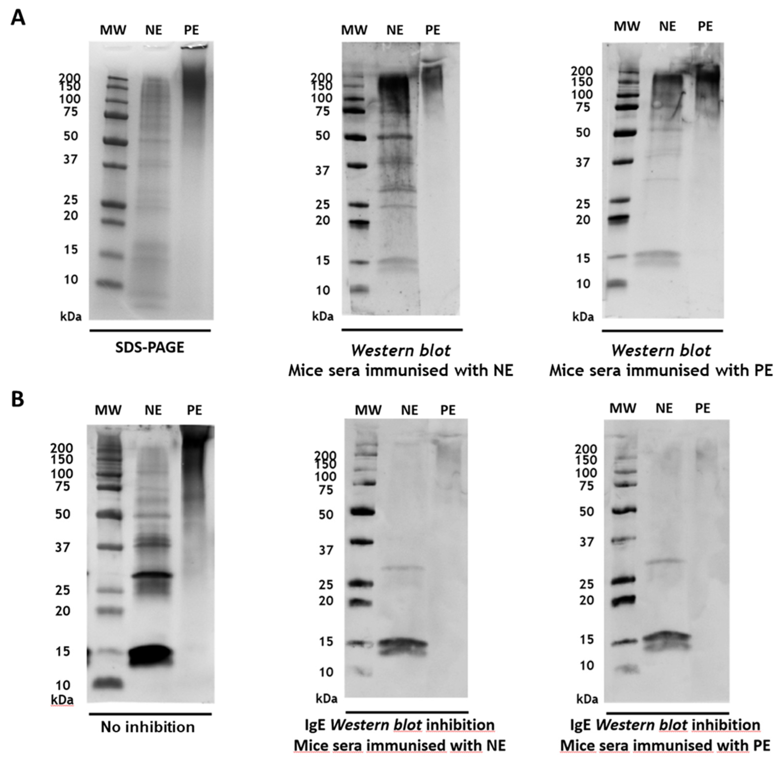 Preprints 146332 g003