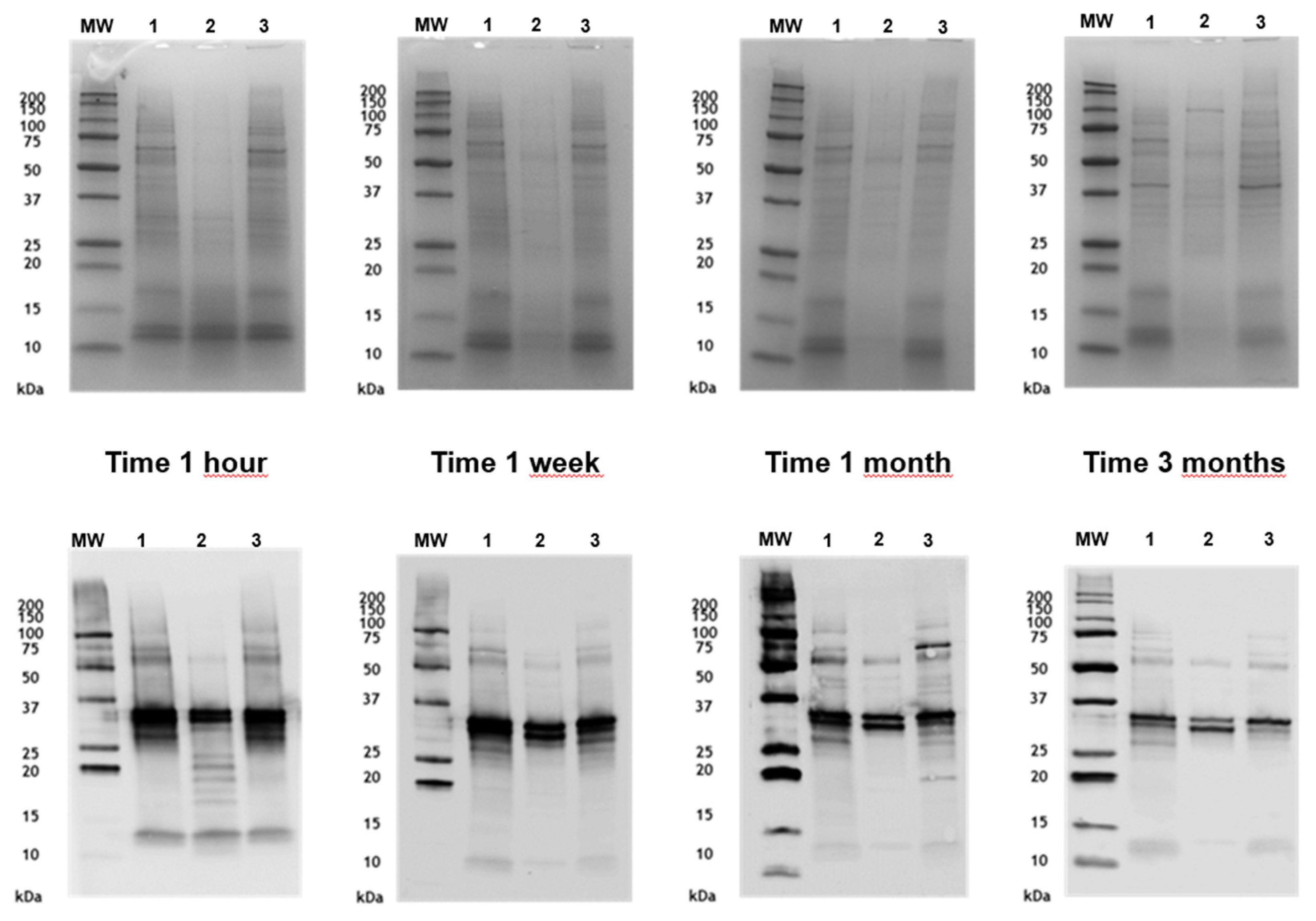 Preprints 146332 g004