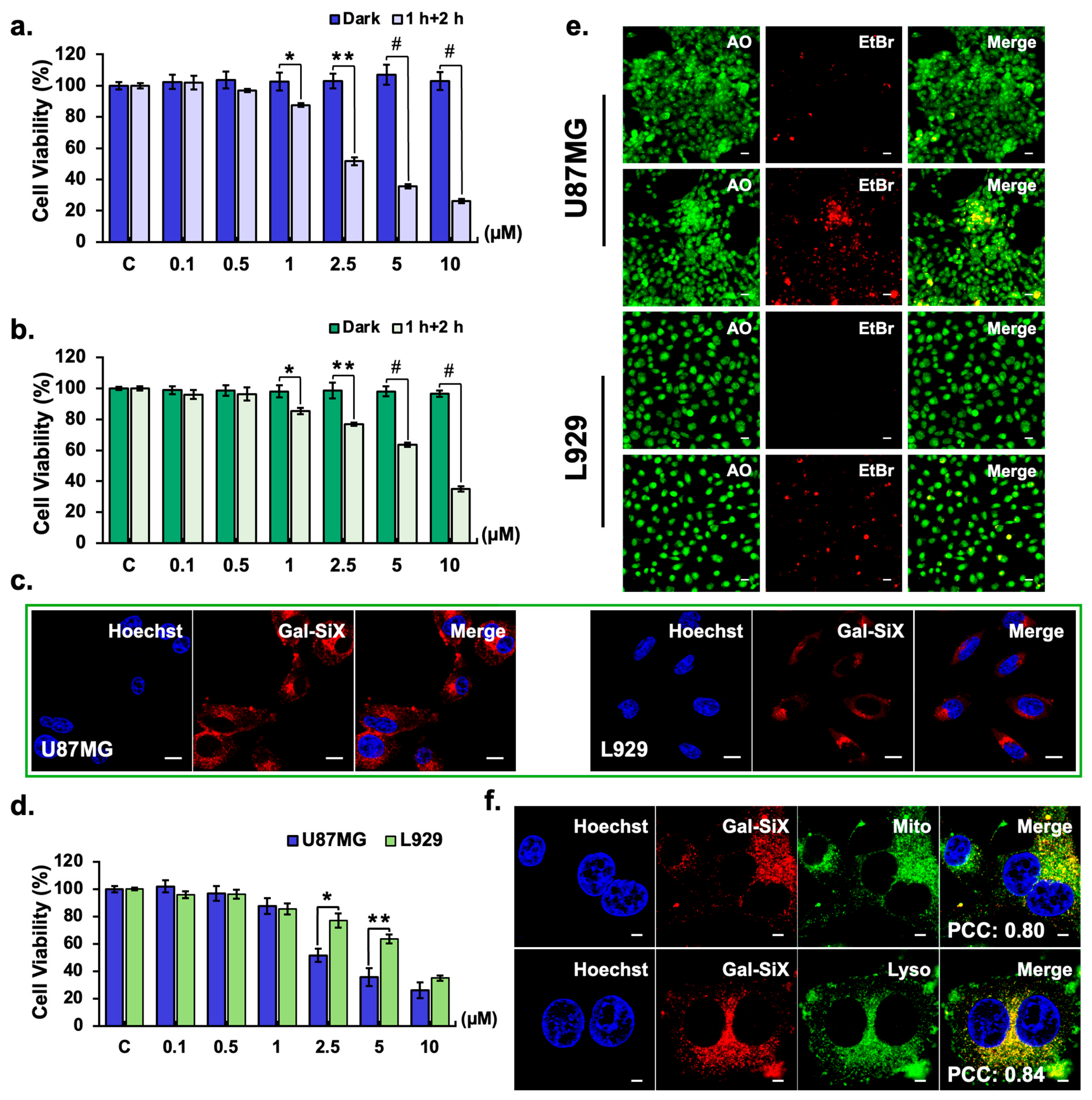Preprints 193689 g003