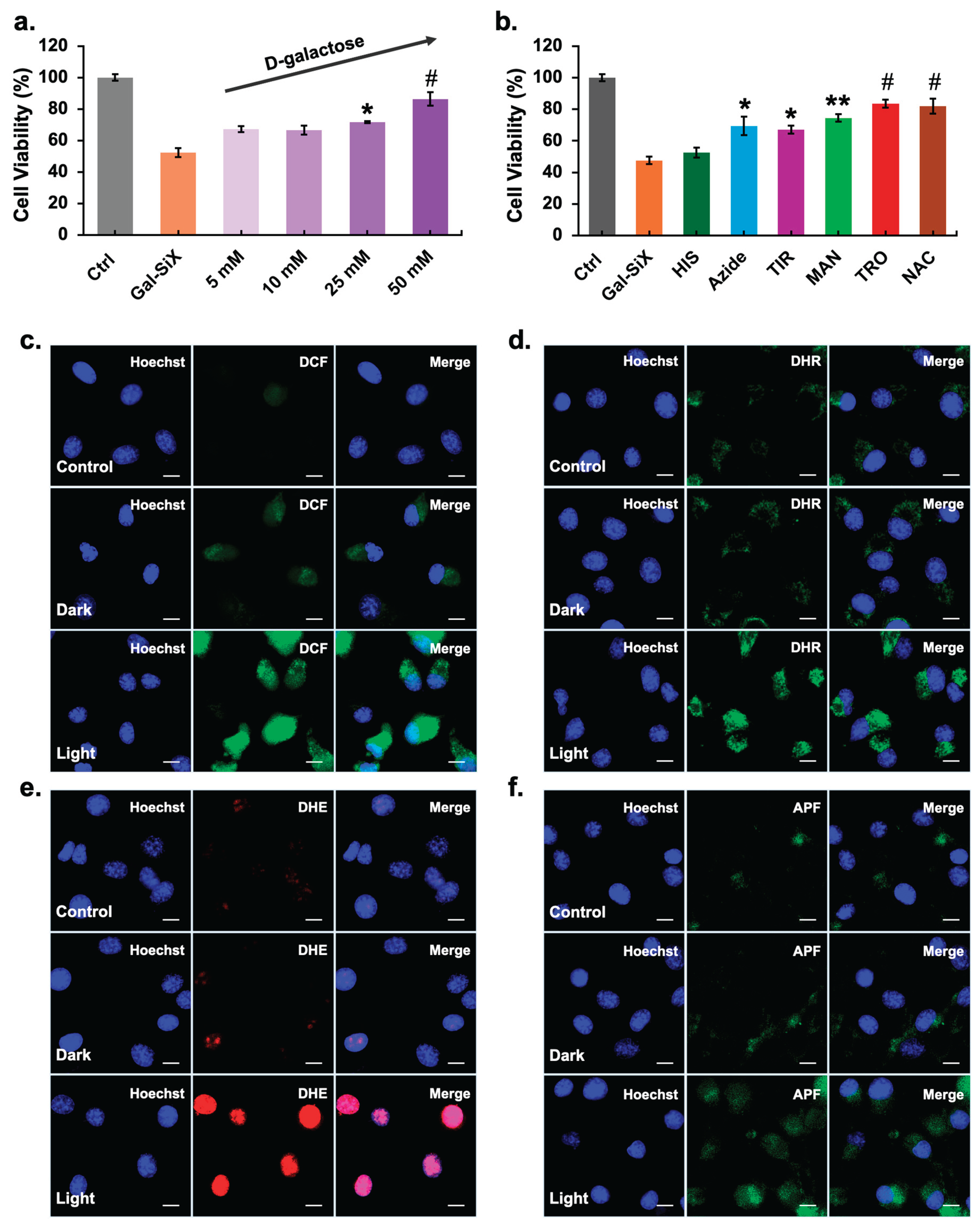 Preprints 193689 g004