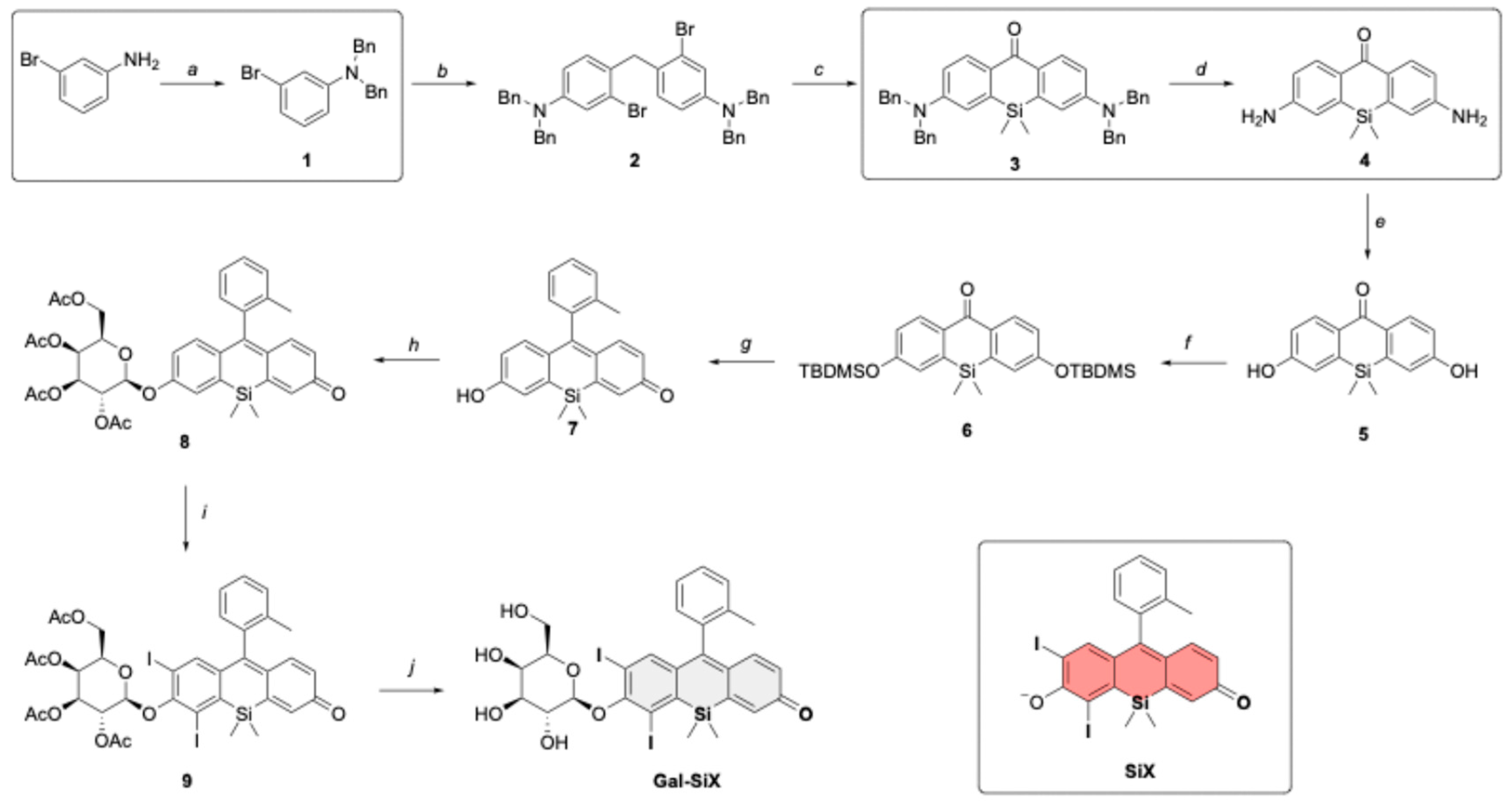 Preprints 193689 sch001
