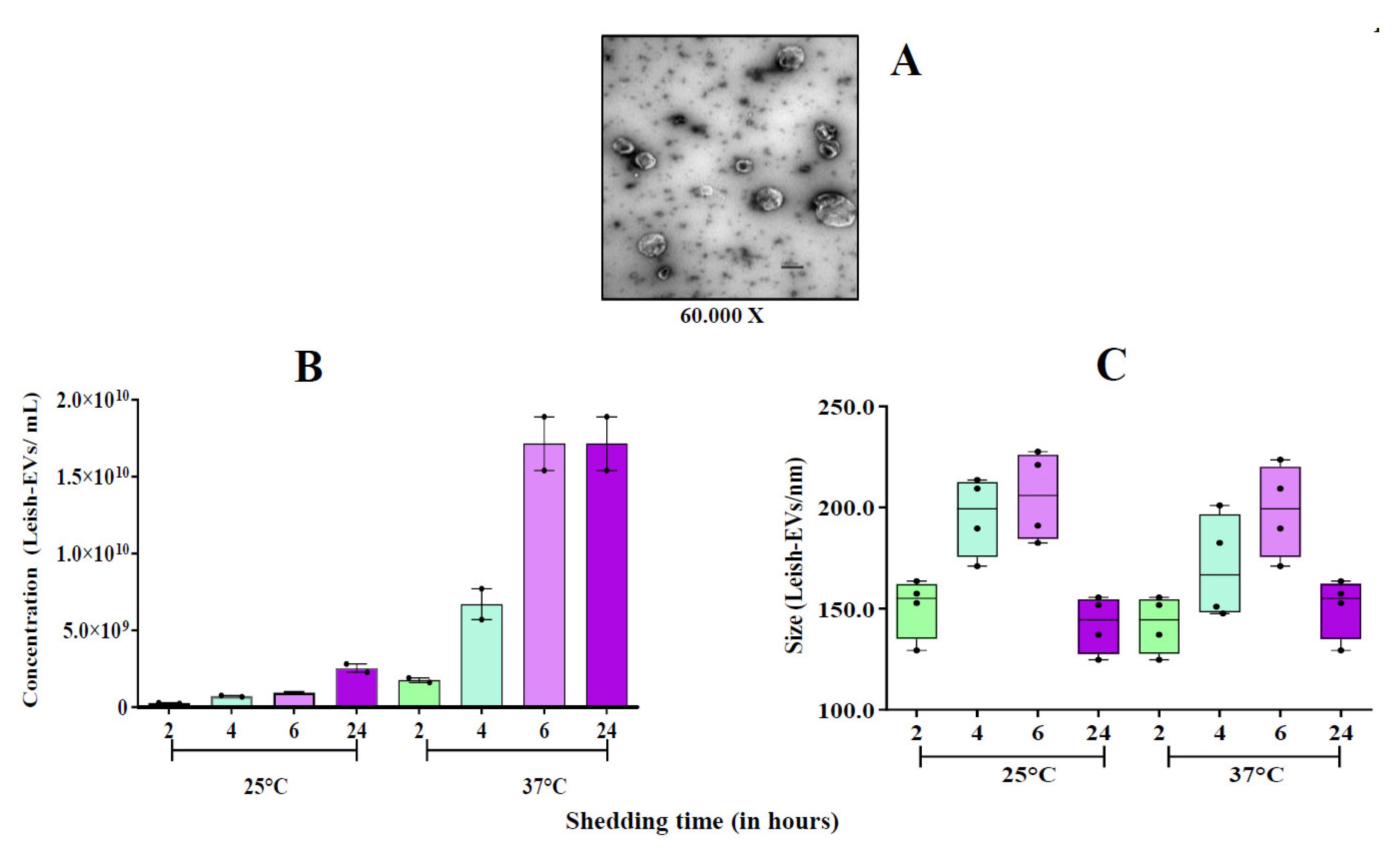 Preprints 92083 g003