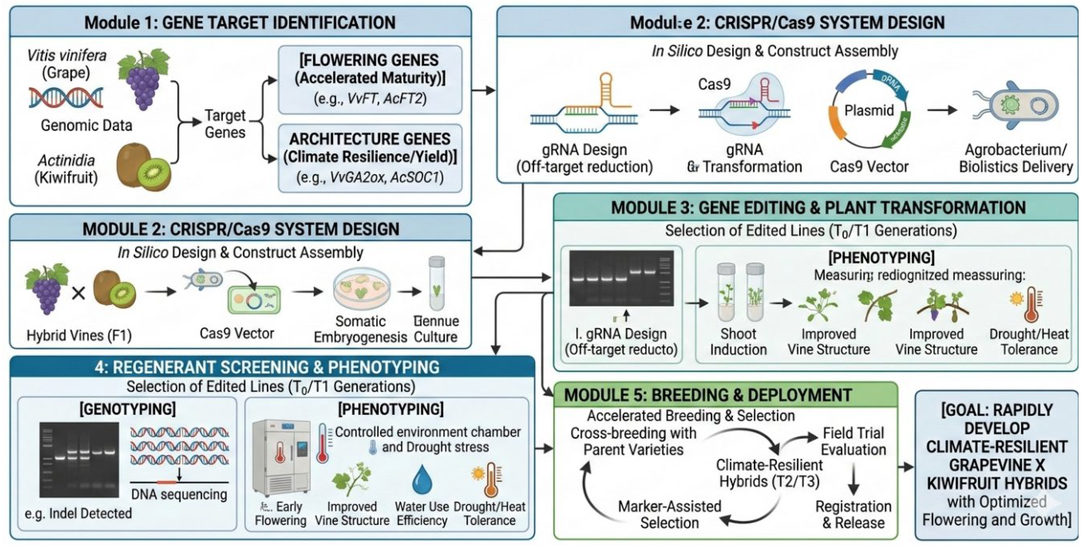 Preprints 203650 g001