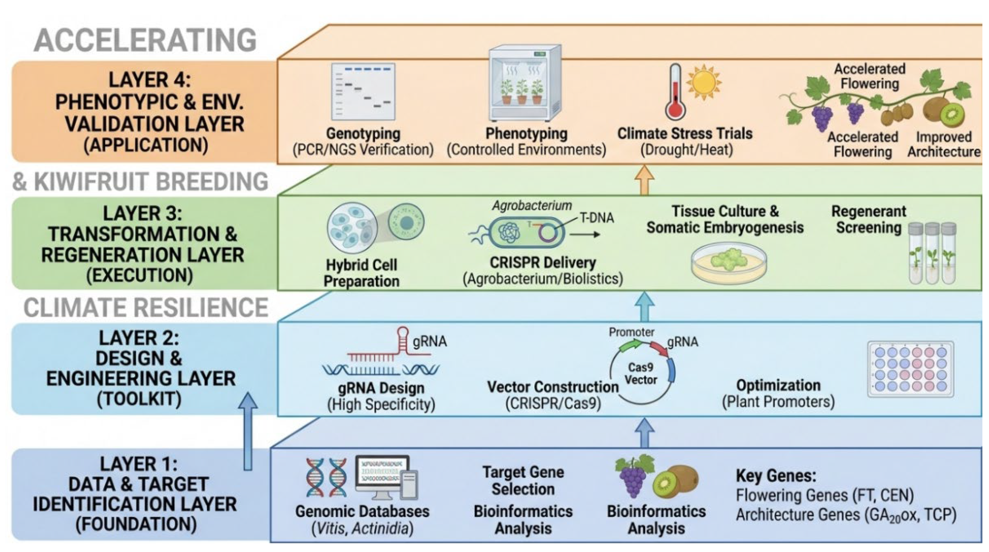 Preprints 203650 g002