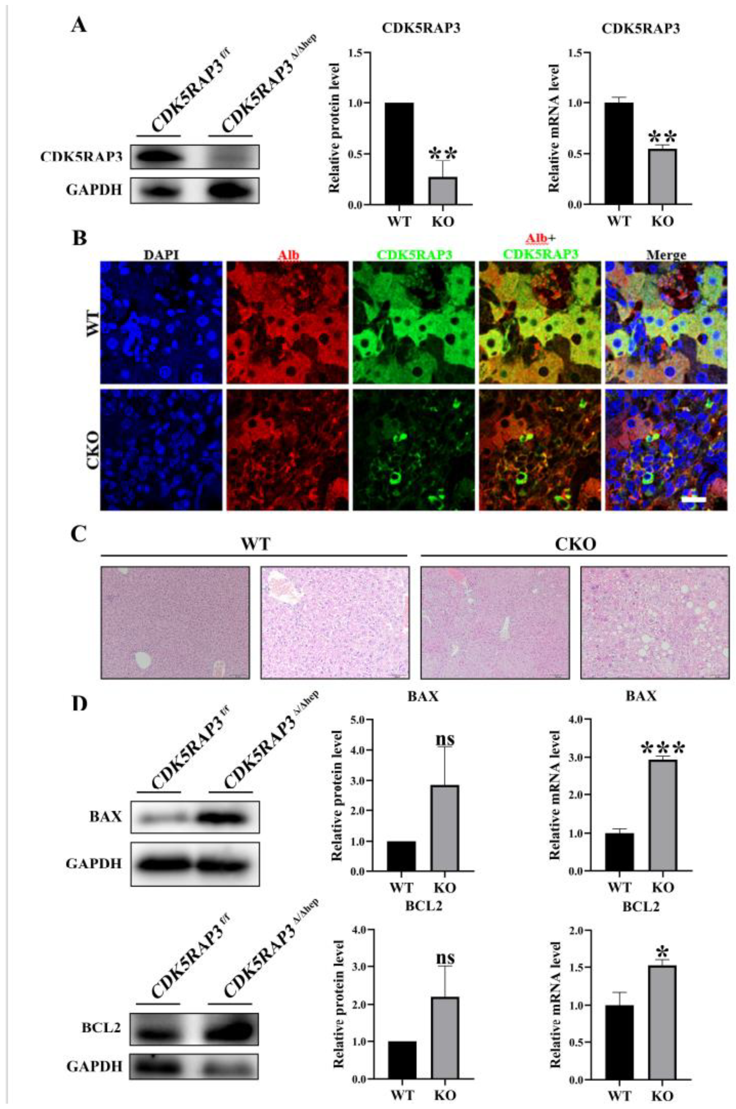 Preprints 165427 g001