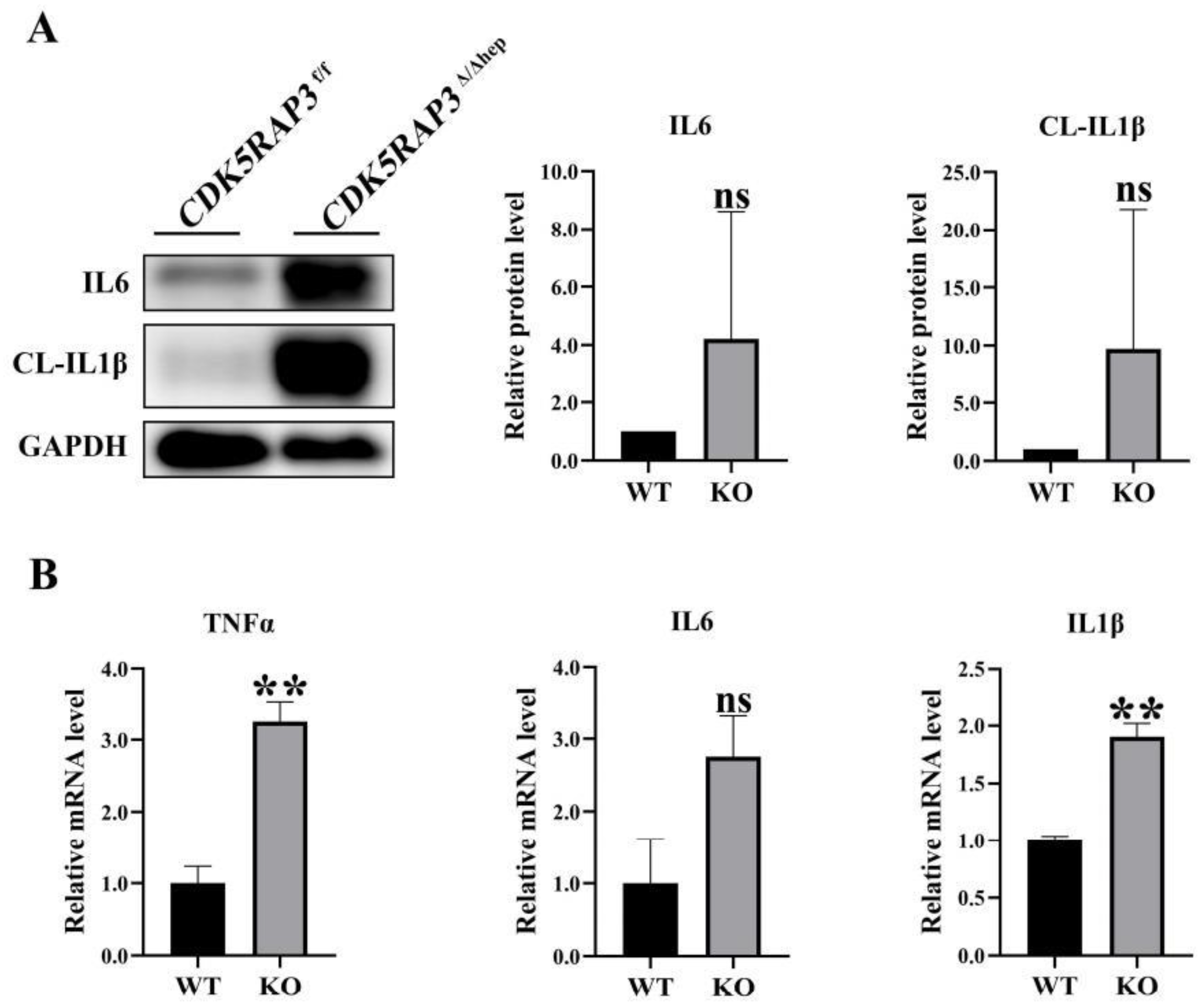 Preprints 165427 g002