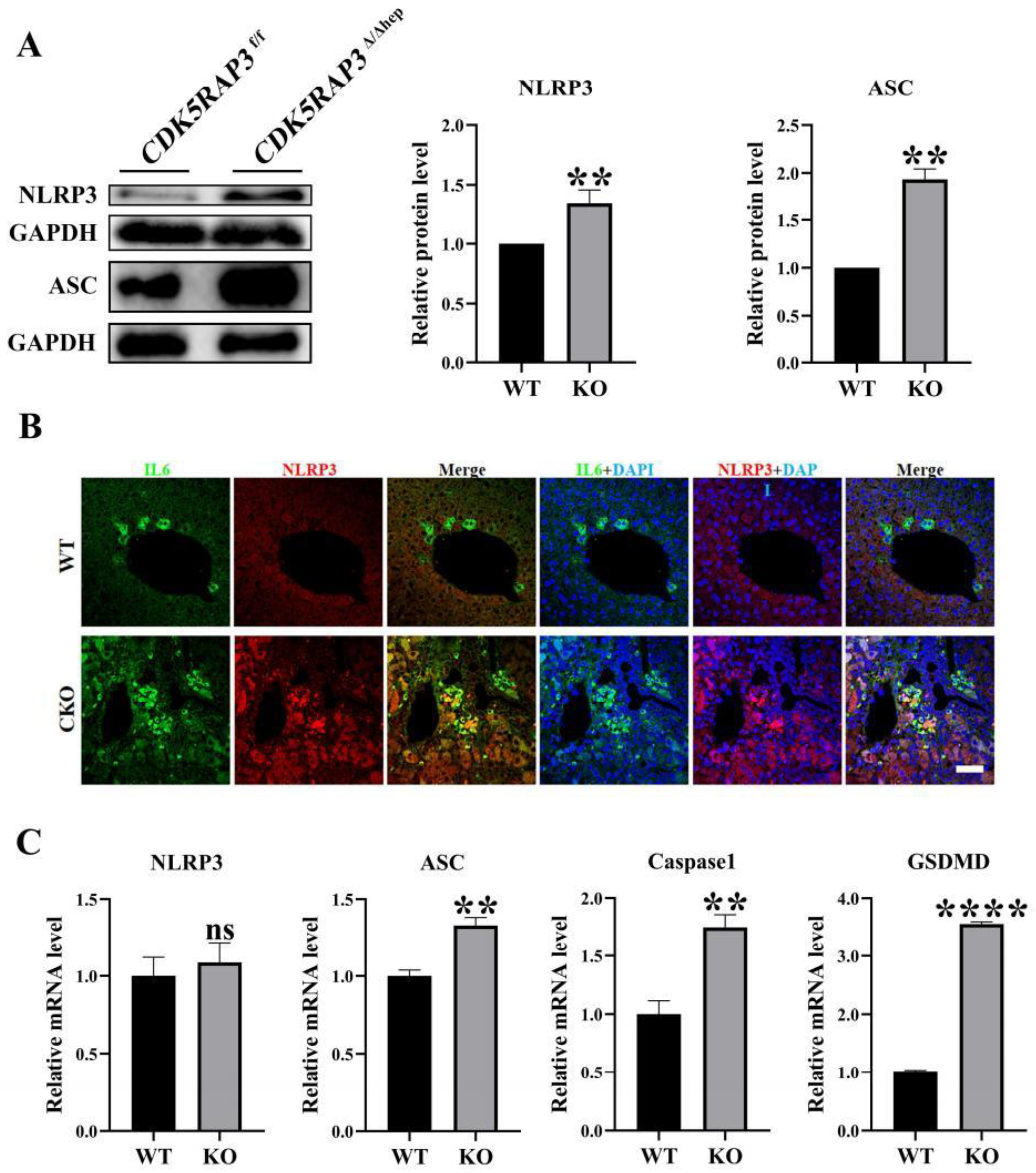 Preprints 165427 g003