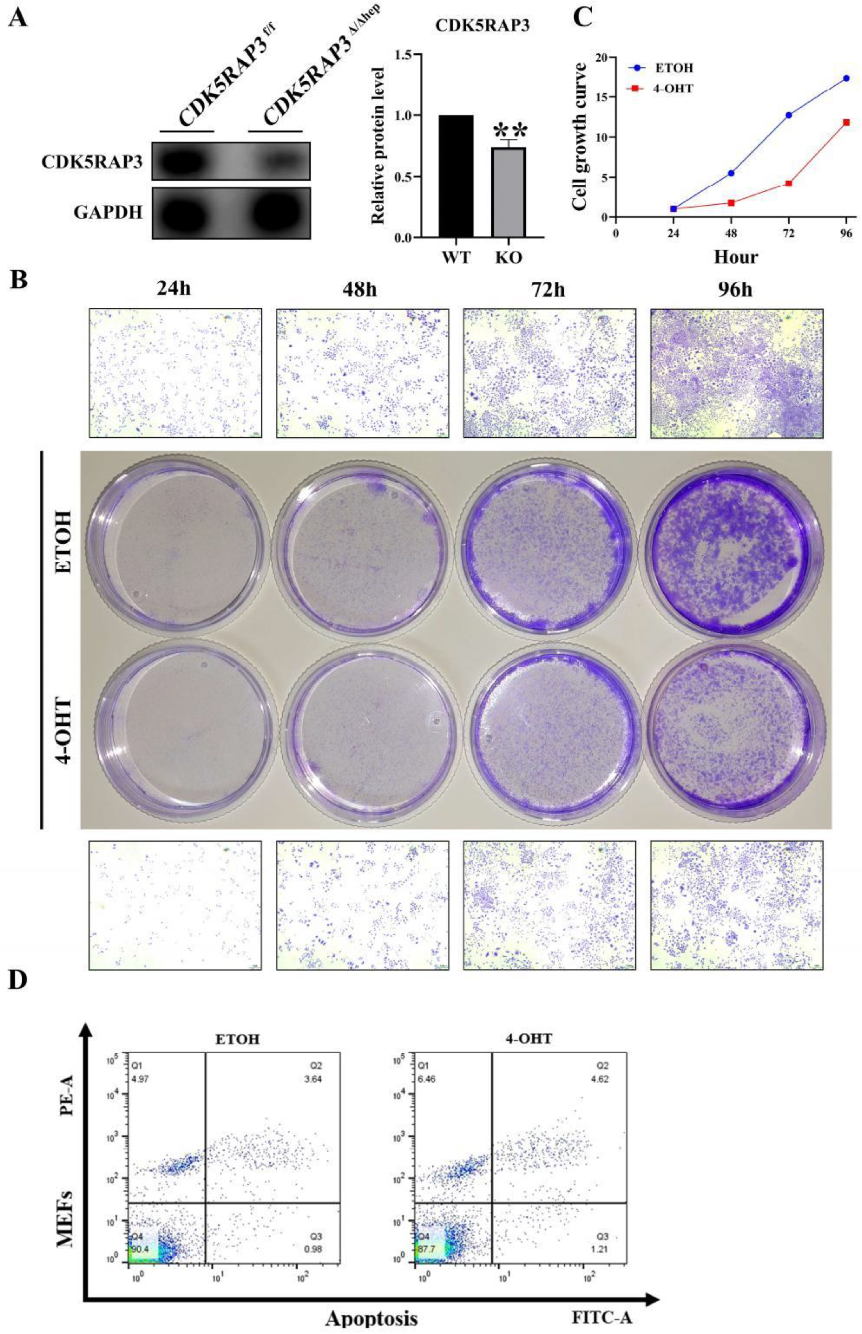 Preprints 165427 g004